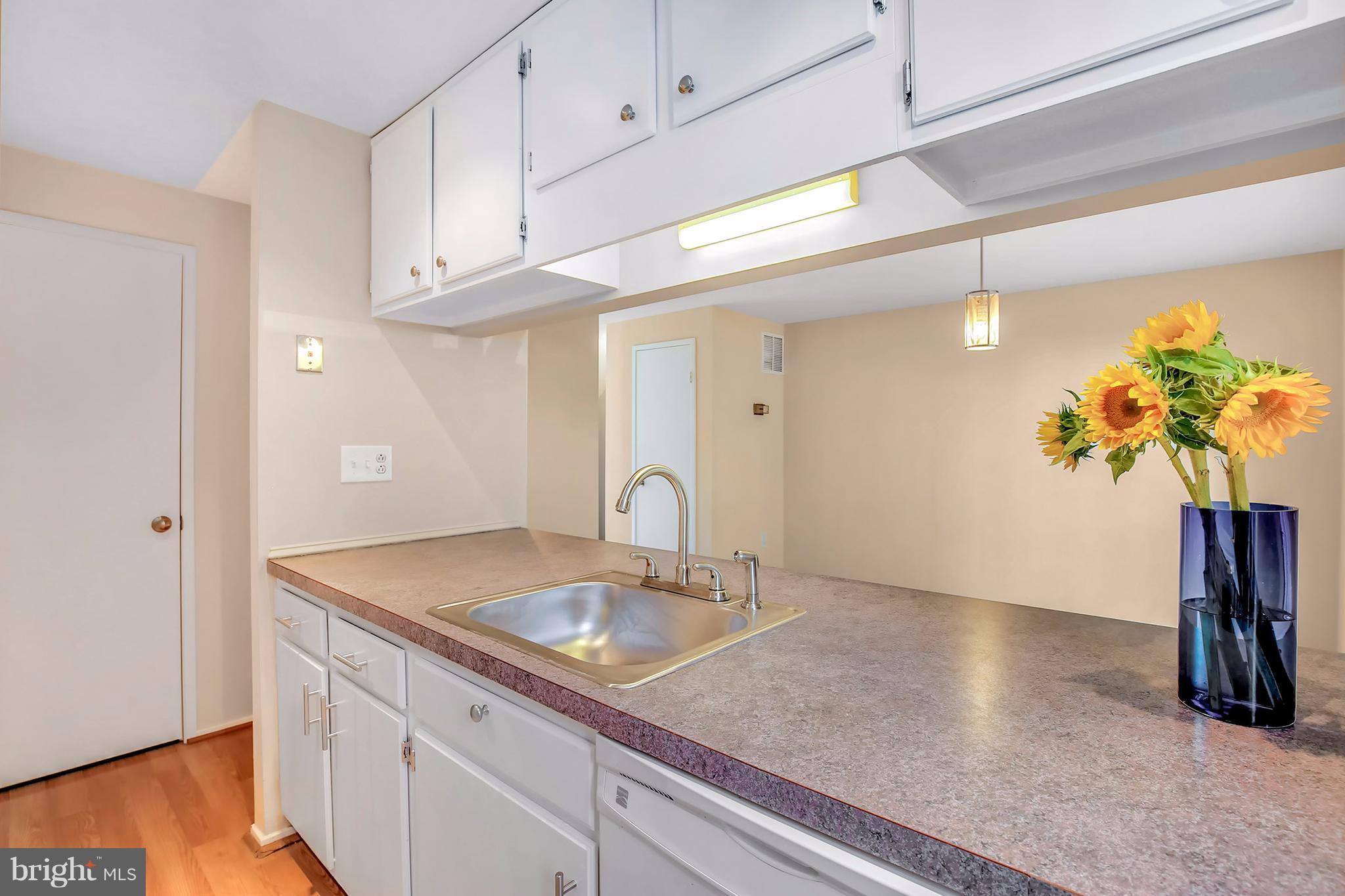 10723 Lester Street Silver Spring, MD 20902 - Photo 18 of 30 Kitchen