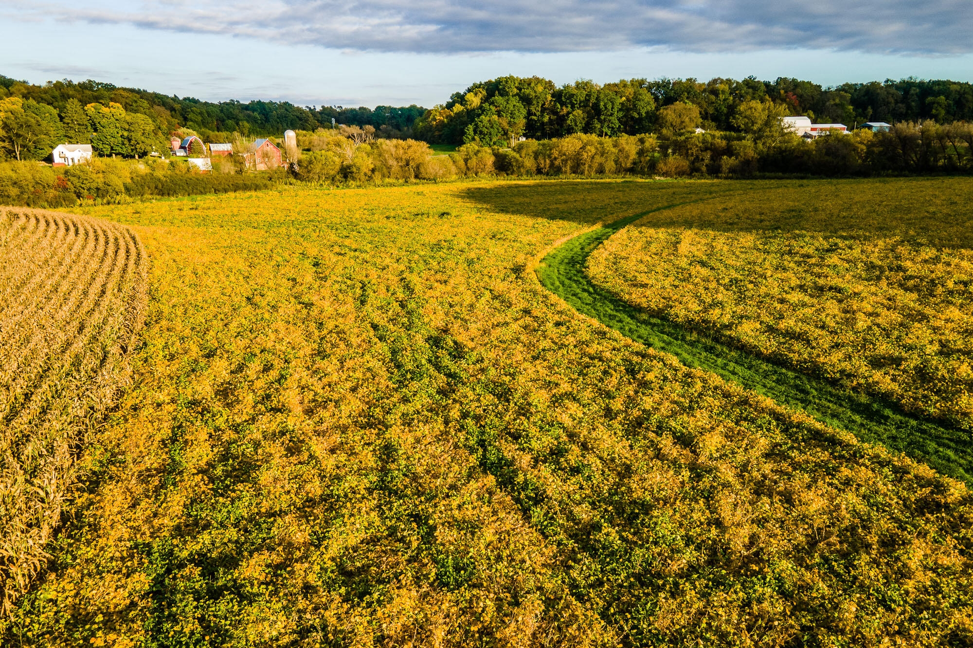 Lt3 Eli Valley Road Hillpoint, WI 53937 - Photo 2 of 12 Sauk-County-WI-Tillable-Land-For-Sale-5