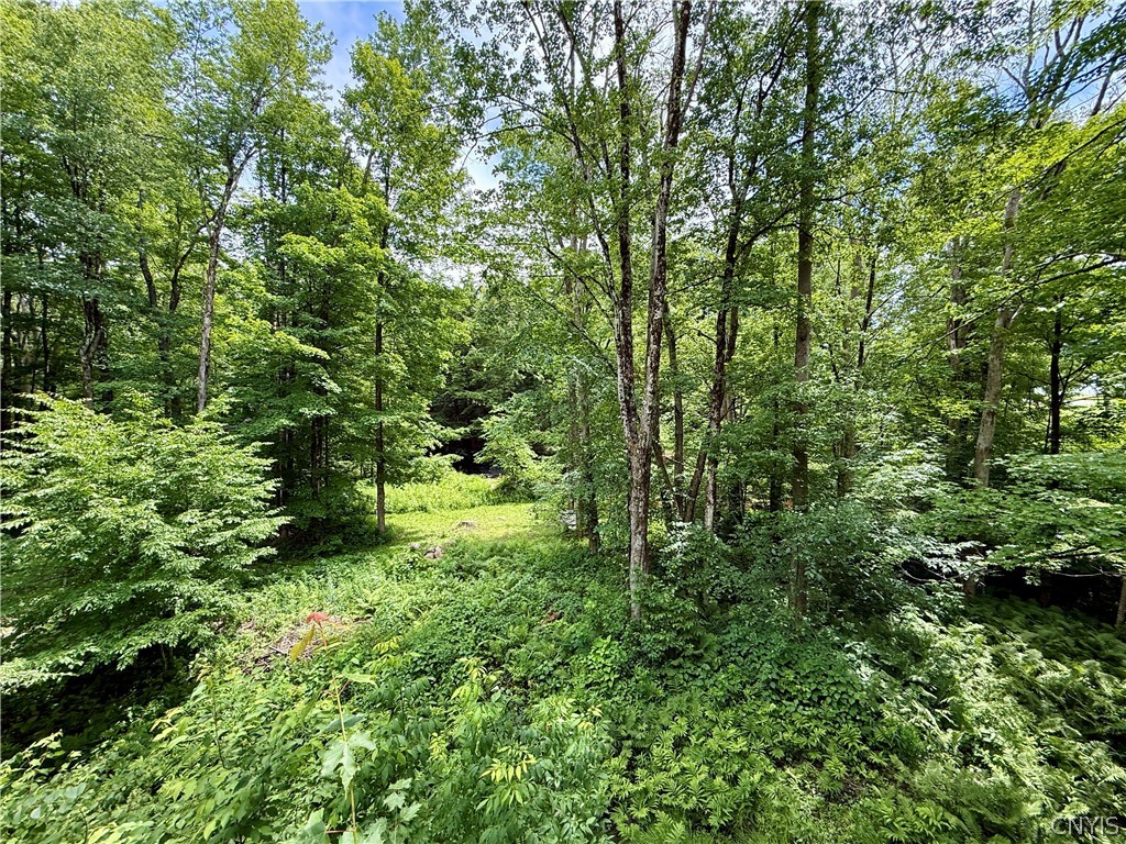 2168 River Road Camden, NY 13316 - Photo 10 of 24