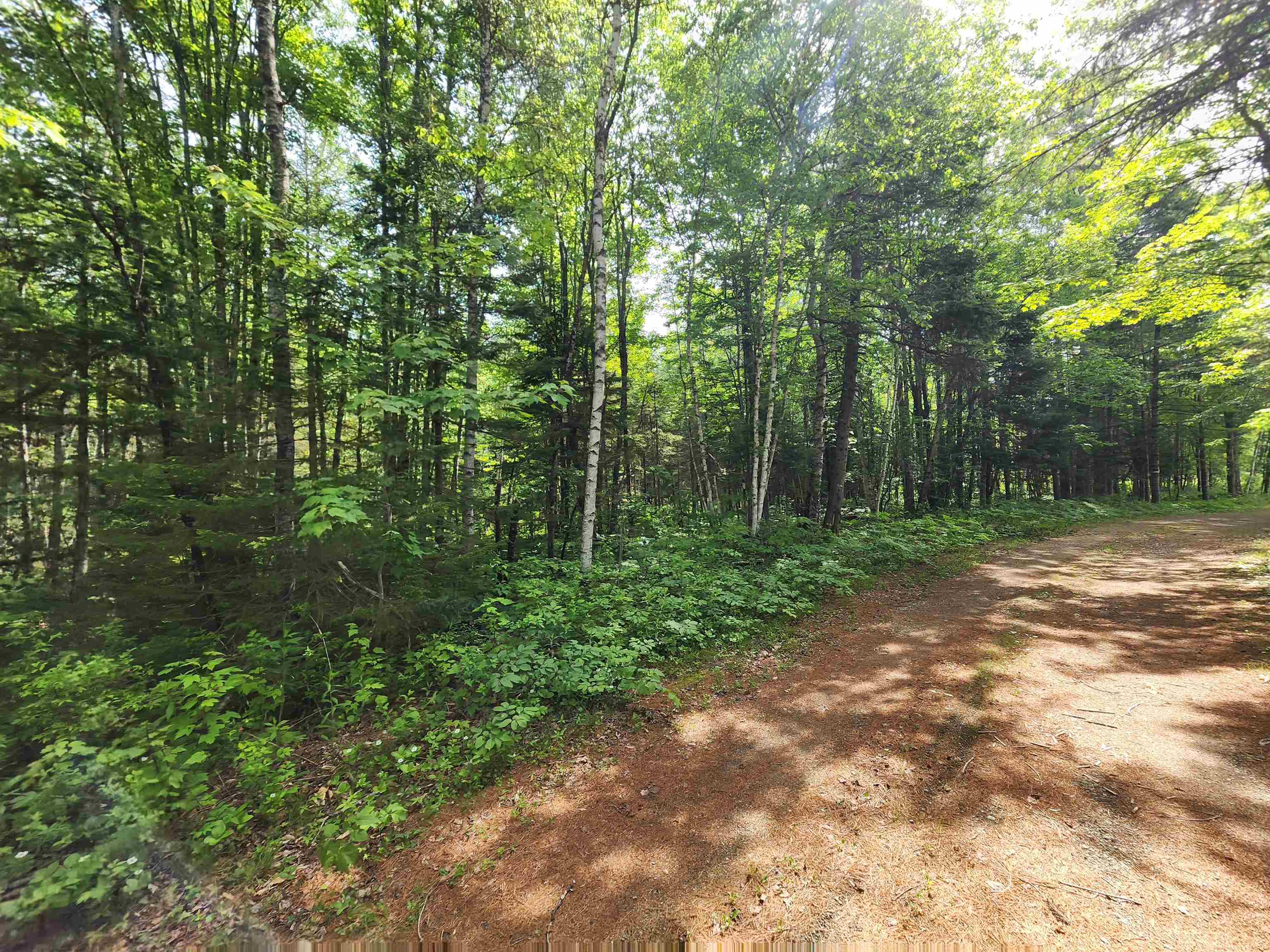 0 Boise Cascade Road Dummer, NH 03588 - Photo 8 of 17
