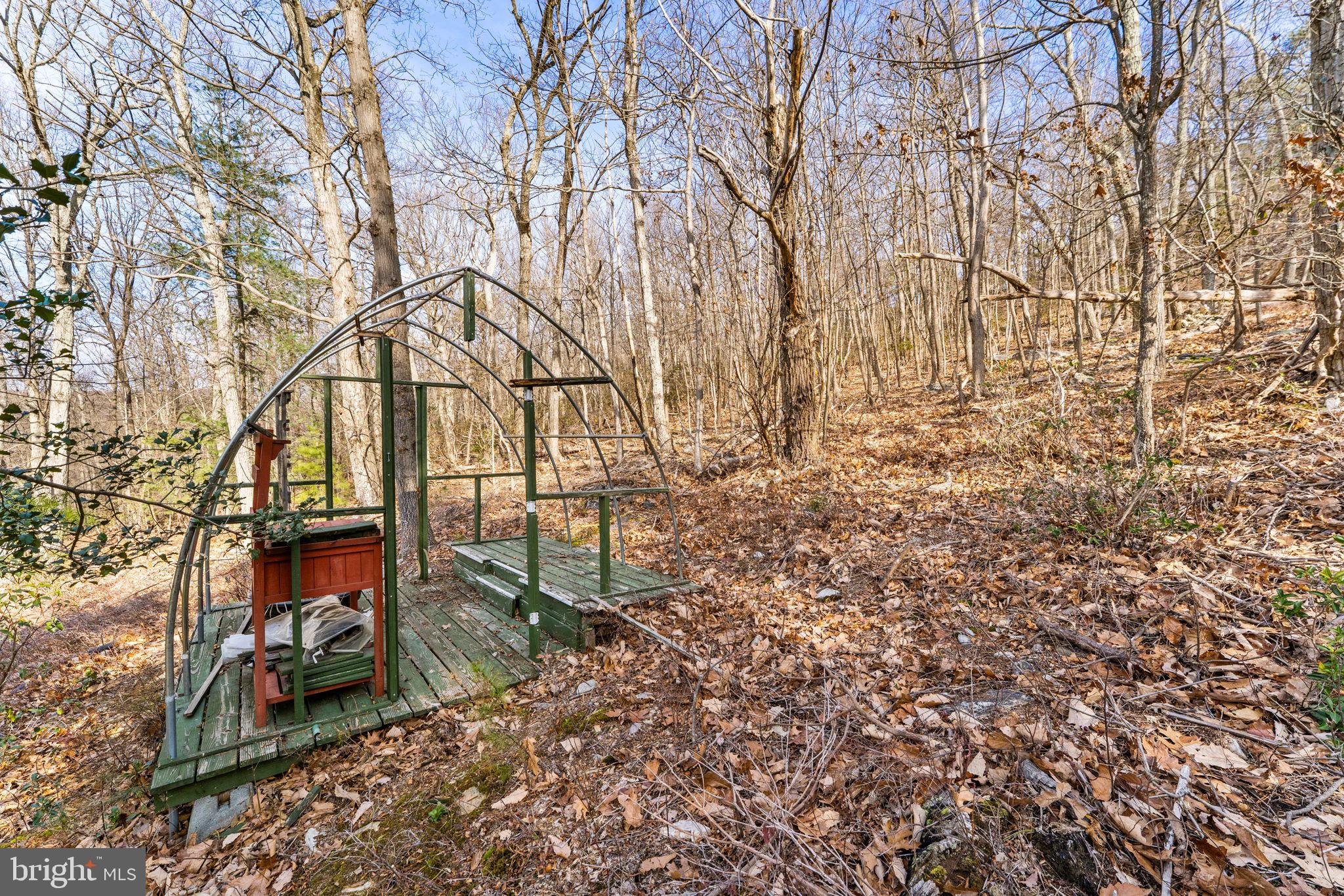 4119 Bull Run Mountain Road The Plains, VA 20198 - Photo 88 of 98 a backyard of a house with lots of green space