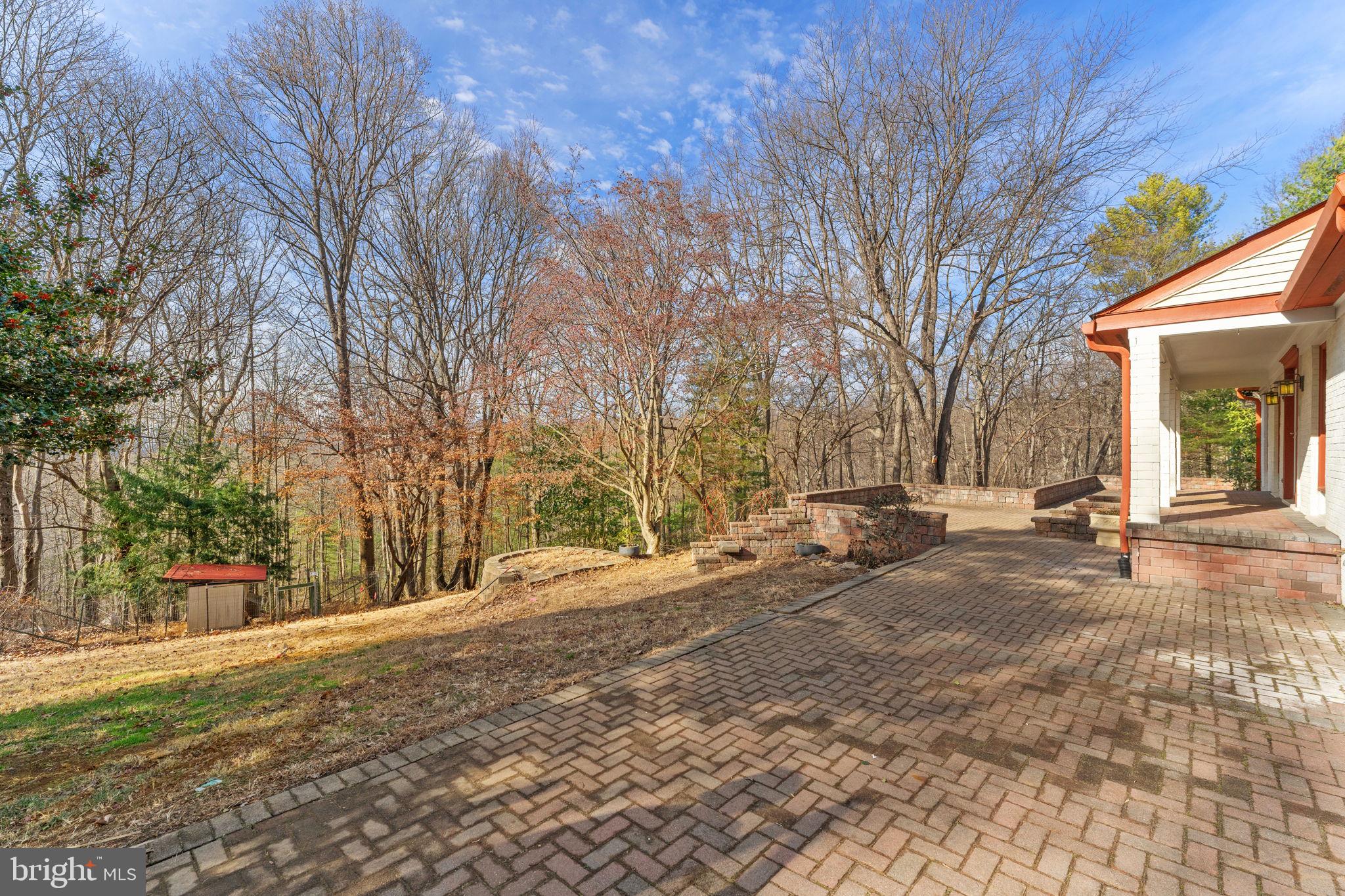4119 Bull Run Mountain Road The Plains, VA 20198 - Photo 92 of 98 Cleared yard for kids and pets to enjoy!