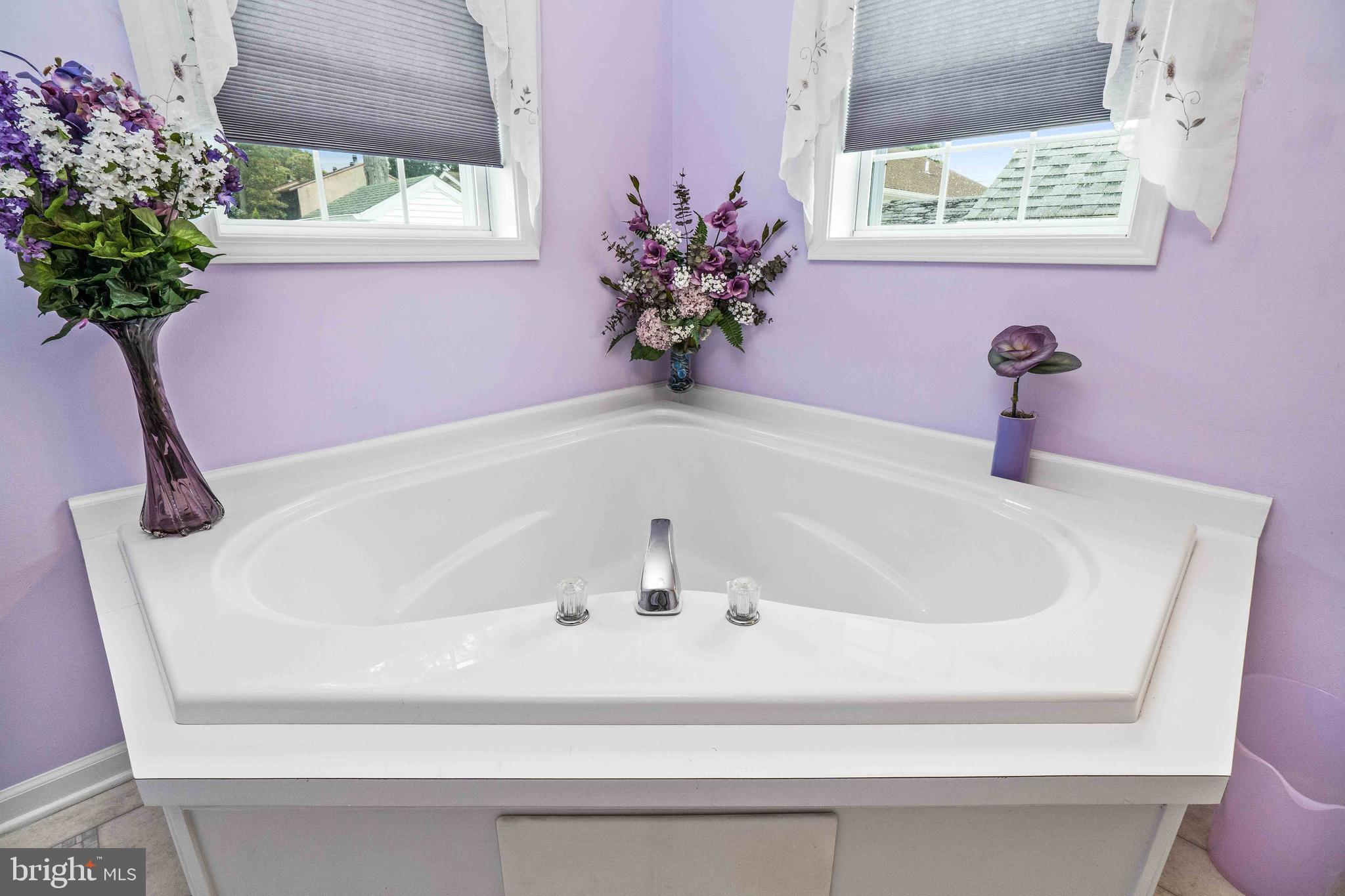 306 Rio Grande Avenue Rio Grande, NJ 08242 - Photo 23 of 38 Primary Bathroom w/Soaken Tub