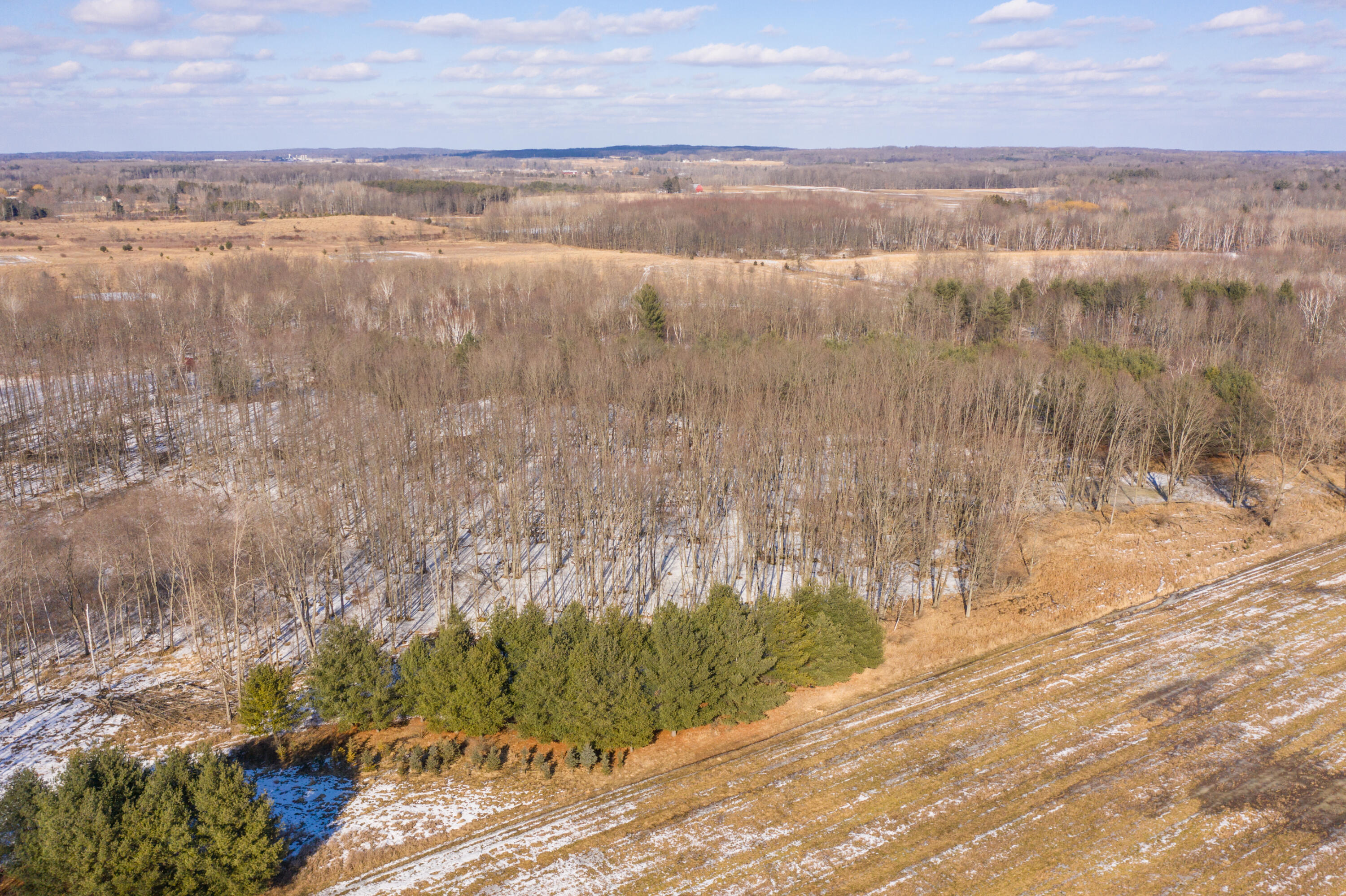 0 1 1 Mile Road Lakeview, MI 48850 - Photo 9 of 9 DJI_0679