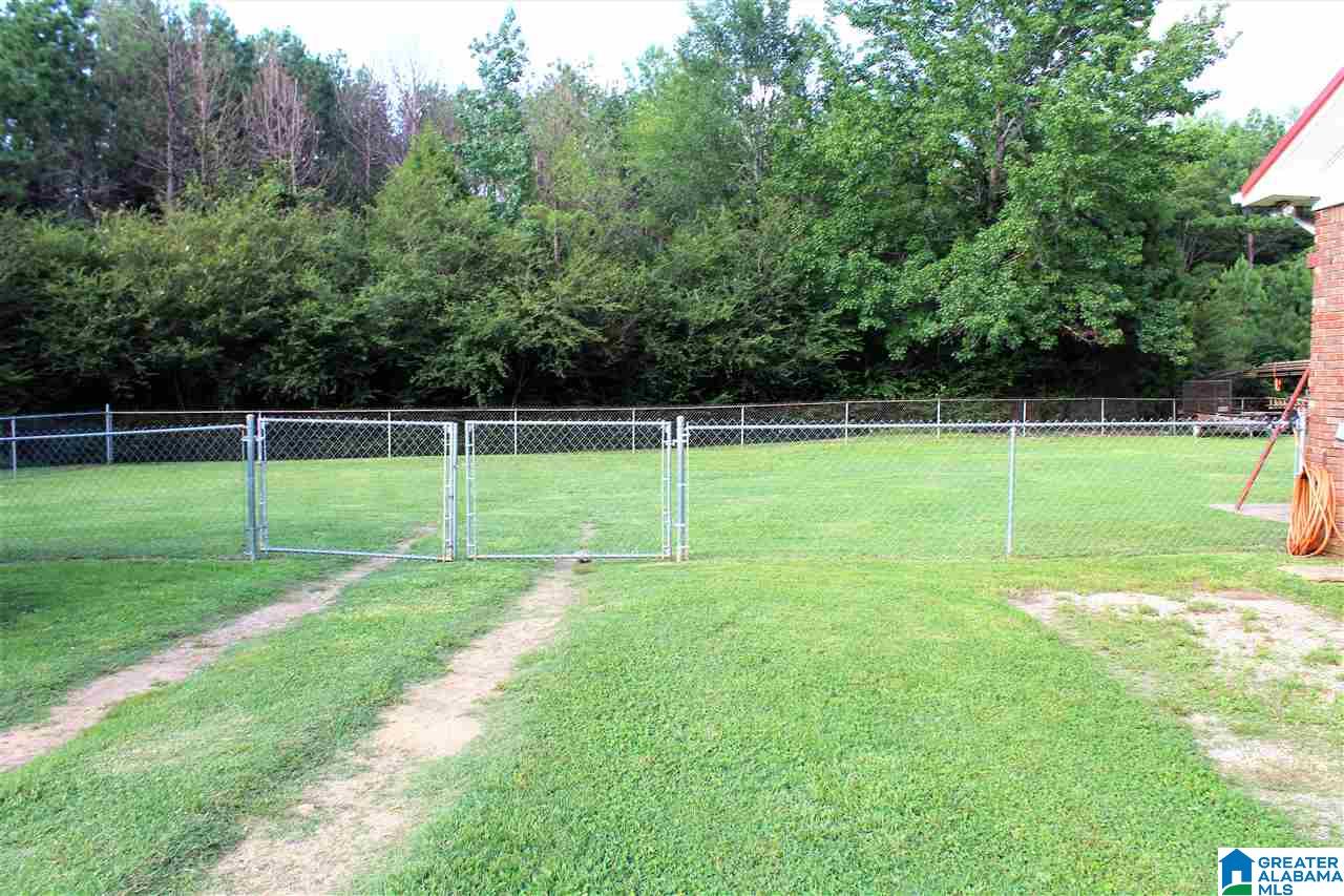 976 Whites Gap Road Jacksonville, AL 36265 - Photo 21 of 22