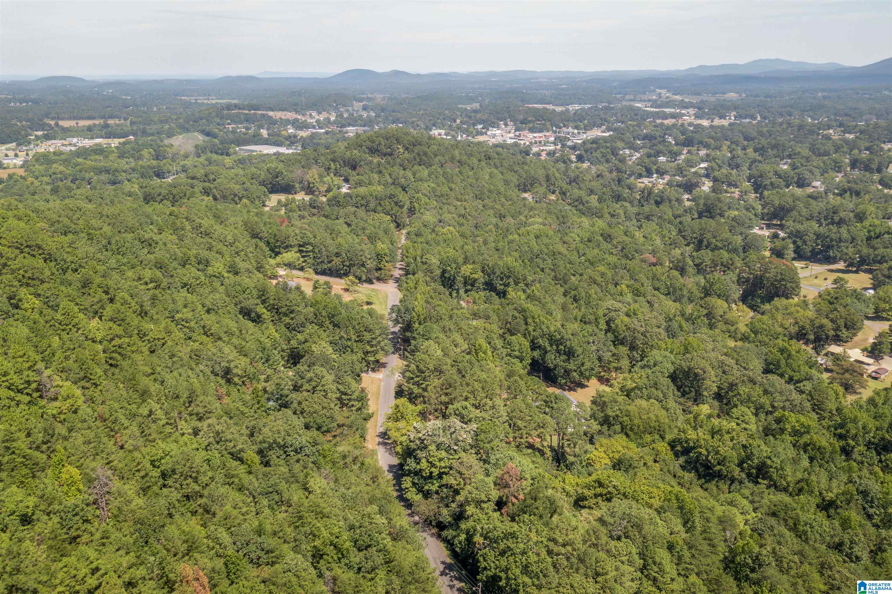 314 Oak Ridge Lane Piedmont, AL 36272 - Photo 29 of 37
