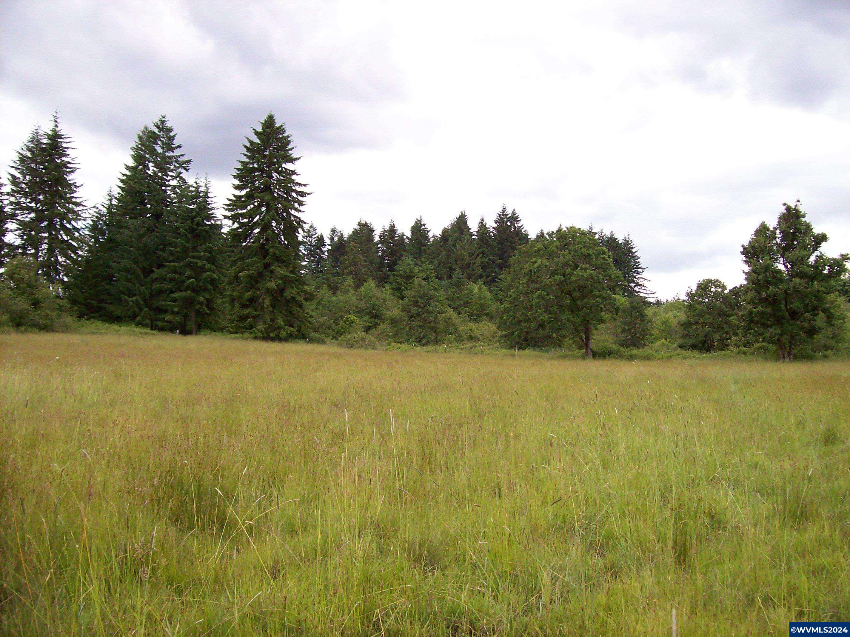 30209 Fairview Road Lebanon, OR 97355 - Photo 22 of 32