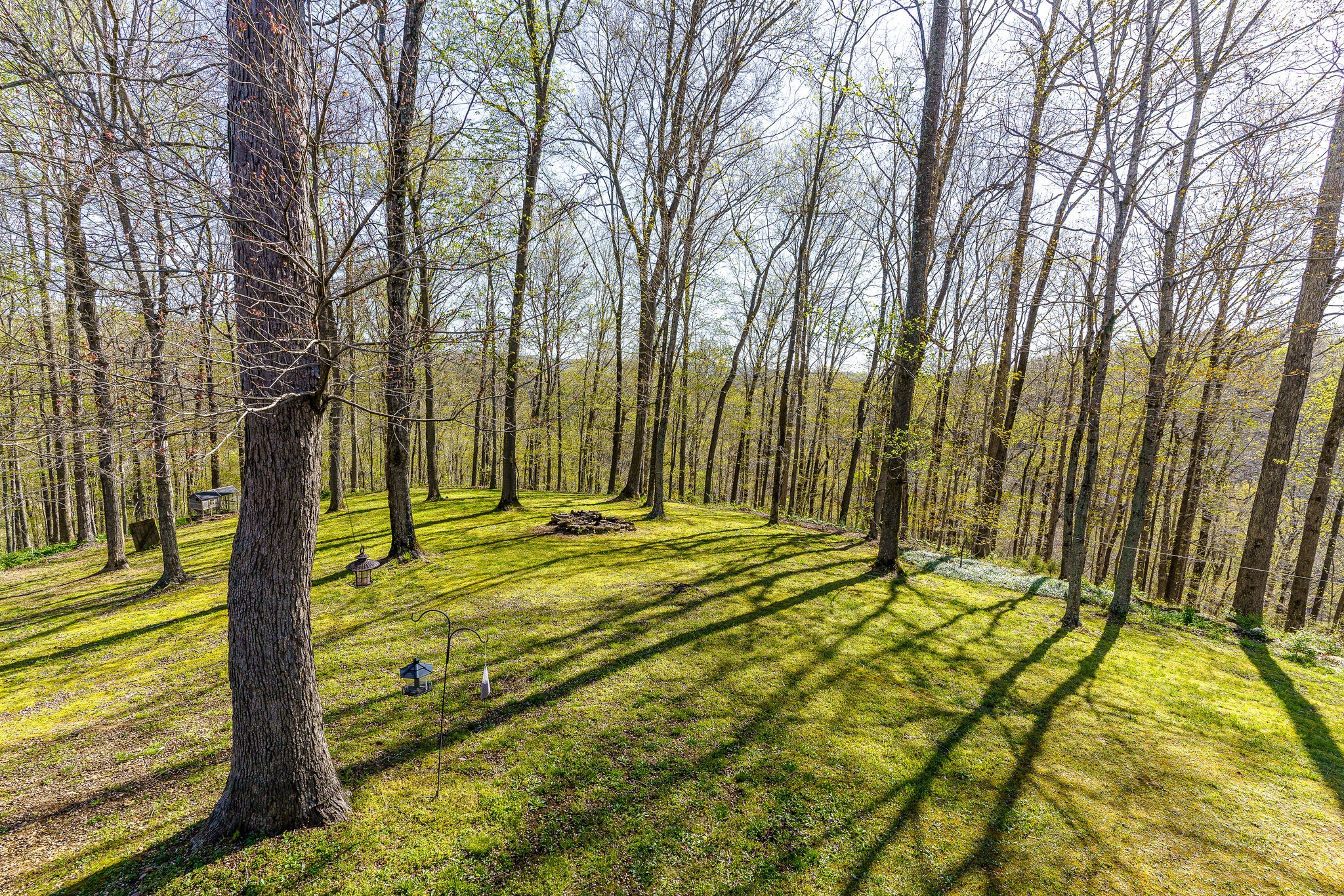 6294 Anderson Road Pegram, TN 37143 - Photo 37 of 52 Gallery Image 37