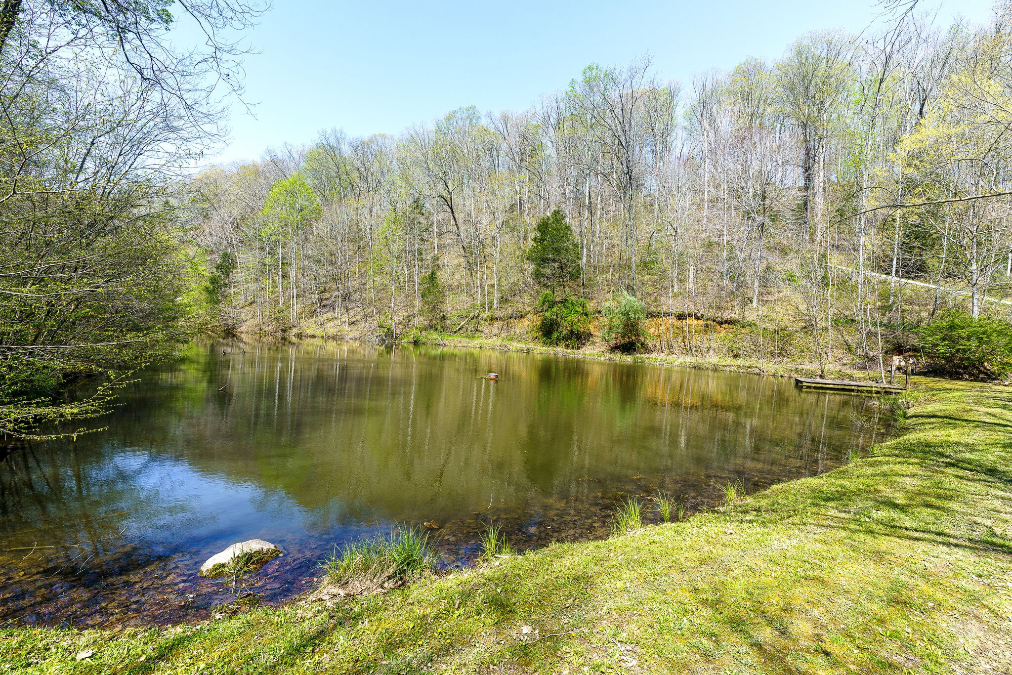 6294 Anderson Road Pegram, TN 37143 - Photo 44 of 52 Gallery Image 44