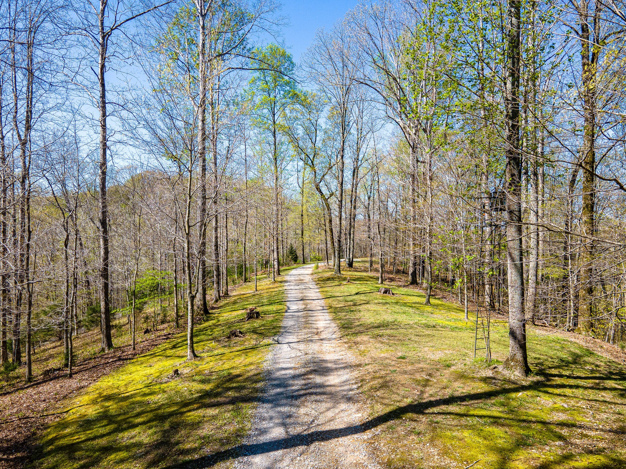 6294 Anderson Road Pegram, TN 37143 - Photo 51 of 52 Gallery Image 51