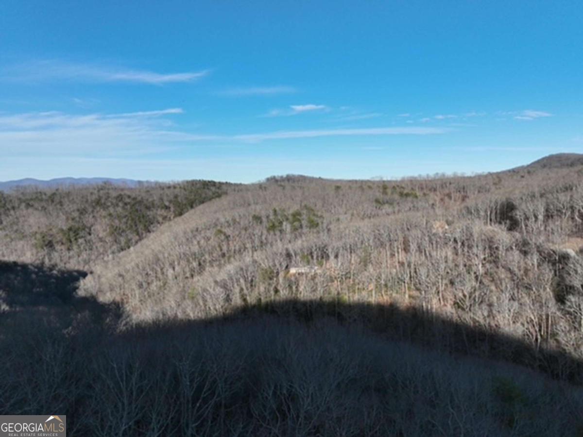 249 Andes Ridge Talking Rock, GA 30175 - Photo 12 of 20