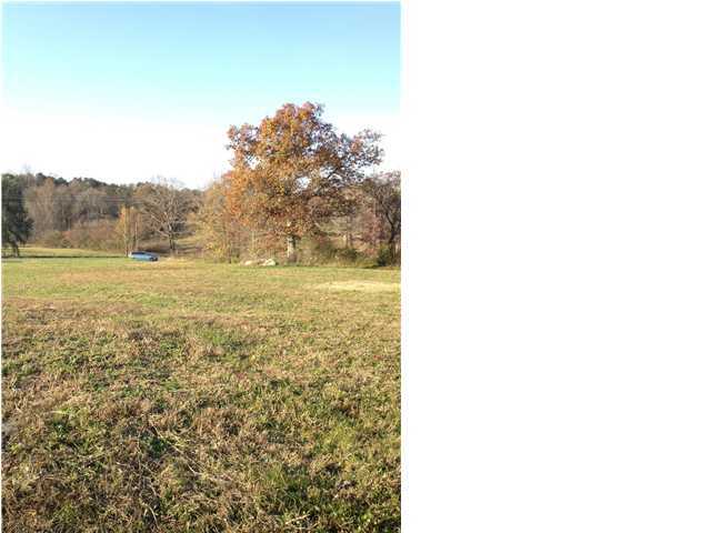 121 Rolling Meadows Road Pikeville, TN 37367 - Photo 1 of 2 Primary Photo