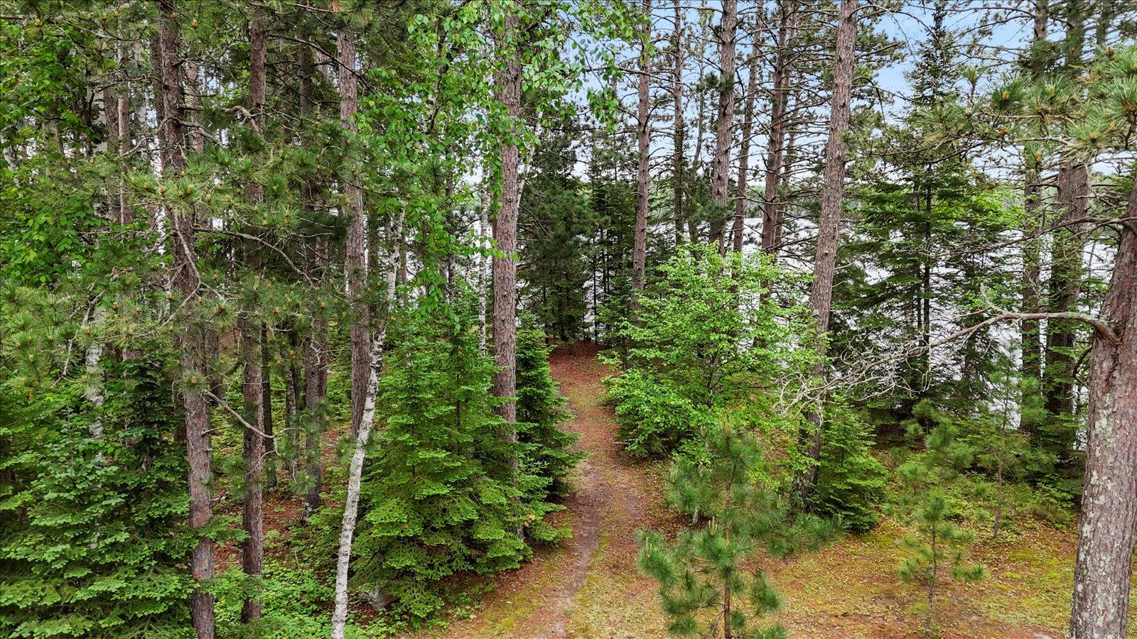 51946 North Wasson Lake Road Bigfork, MN 56628 - Photo 34 of 52
