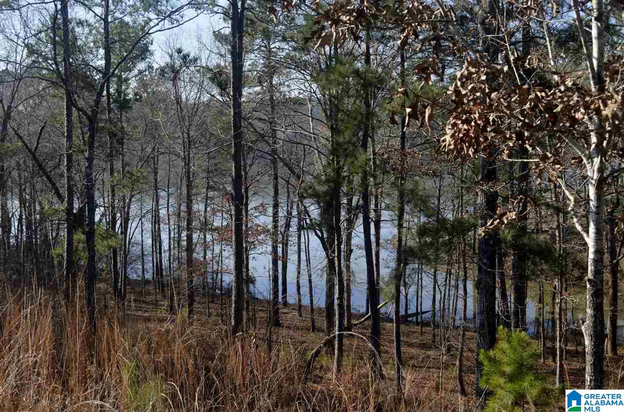 Stillwaters Trail, Unit 179 Sylacauga, AL 35151 - Photo 2 of 20