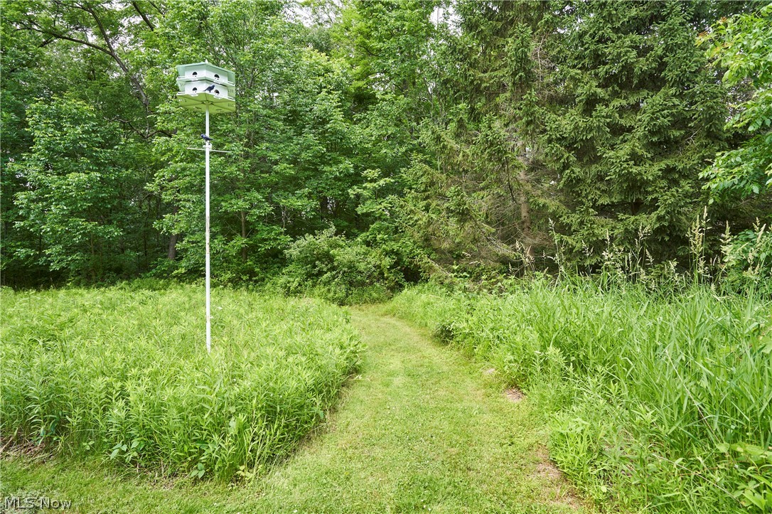 5046 Alger Road Richfield, OH 44286 - Photo 41 of 49