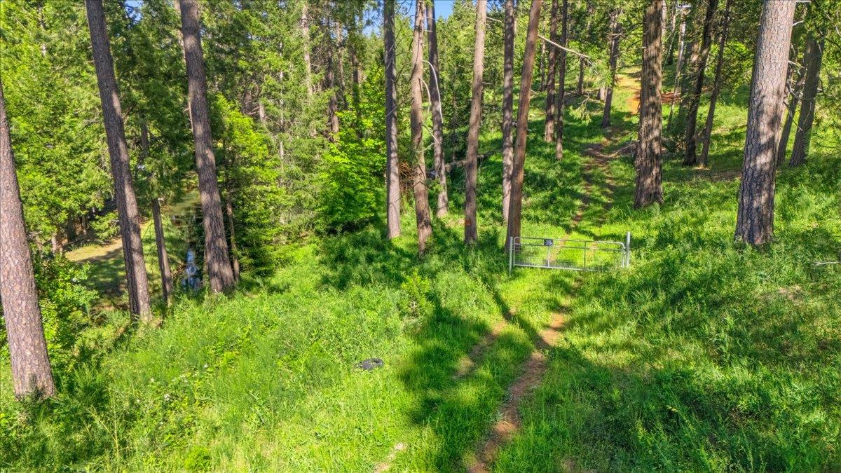 11021 Pittsburg Mine Road Nevada City, CA 95959 - Photo 20 of 36