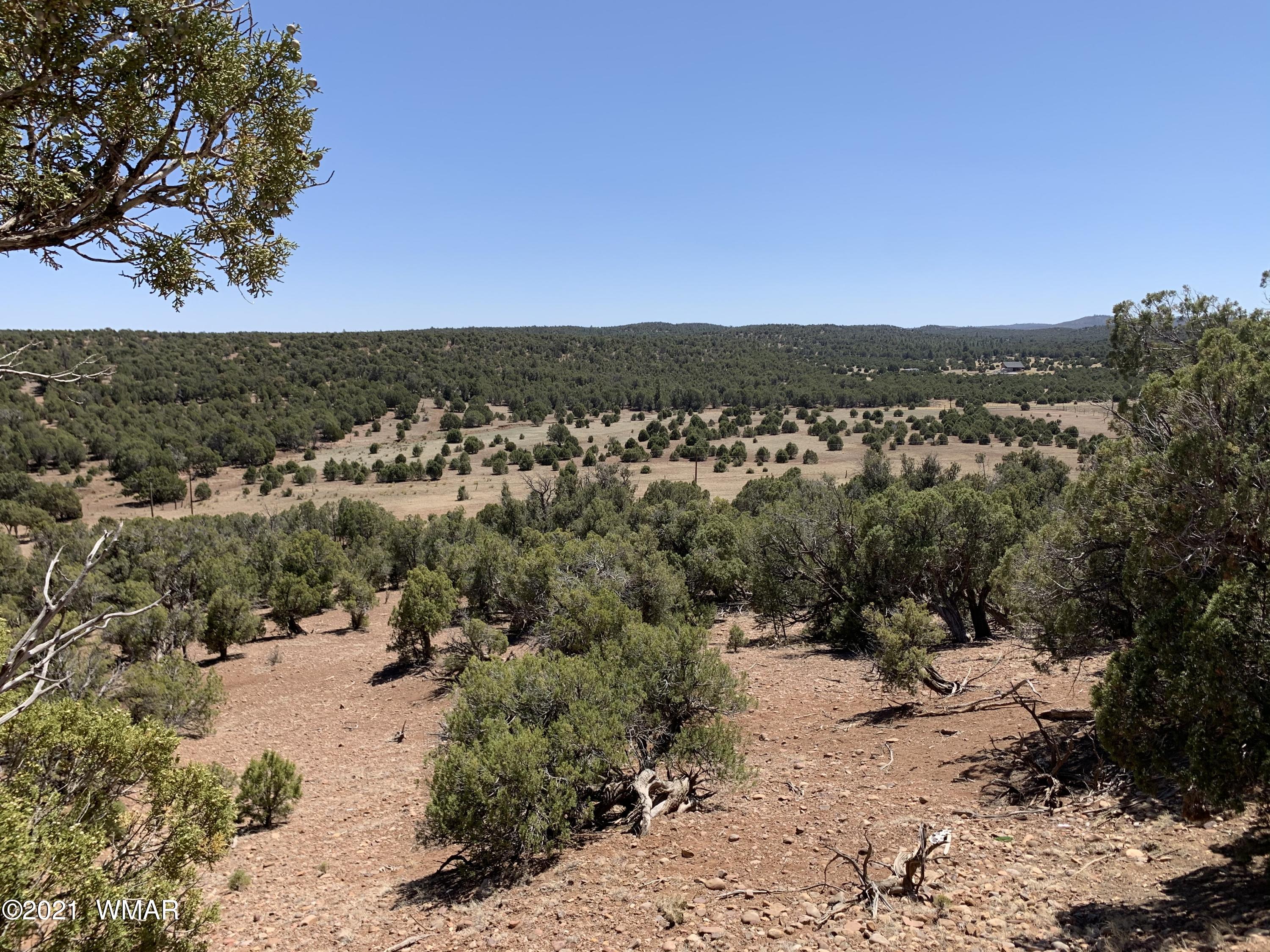 0 West Burton Road Show Low, AZ 85901 - Photo 1 of 25