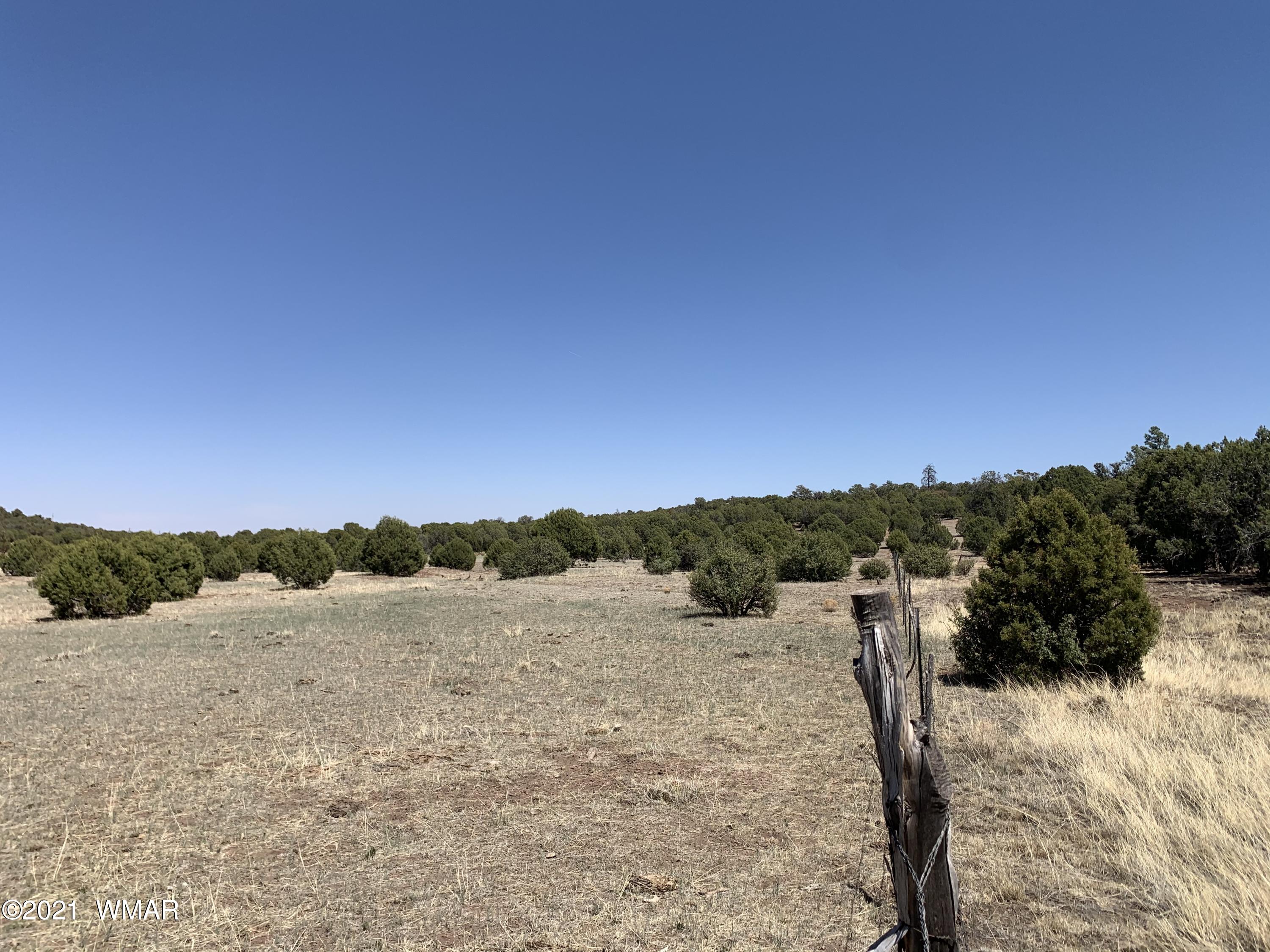 0 West Burton Road Show Low, AZ 85901 - Photo 15 of 25