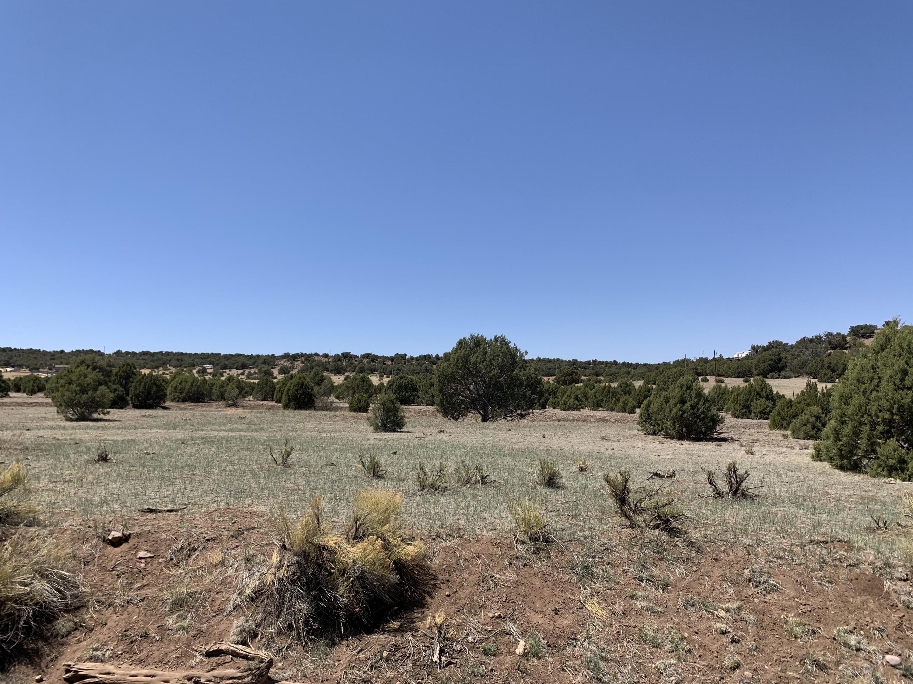 0 West Burton Road Show Low, AZ 85901 - Photo 17 of 25