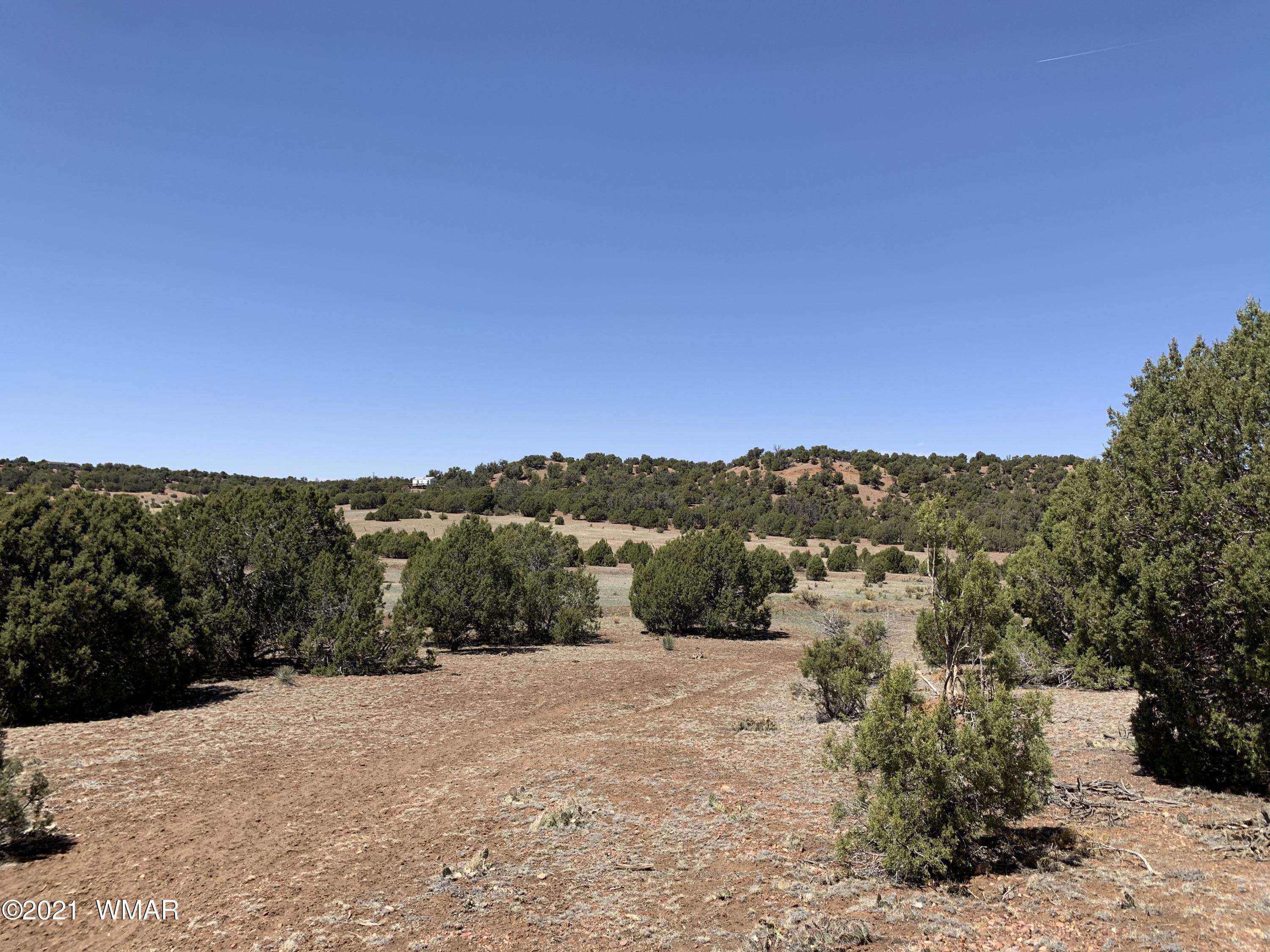 0 West Burton Road Show Low, AZ 85901 - Photo 19 of 25