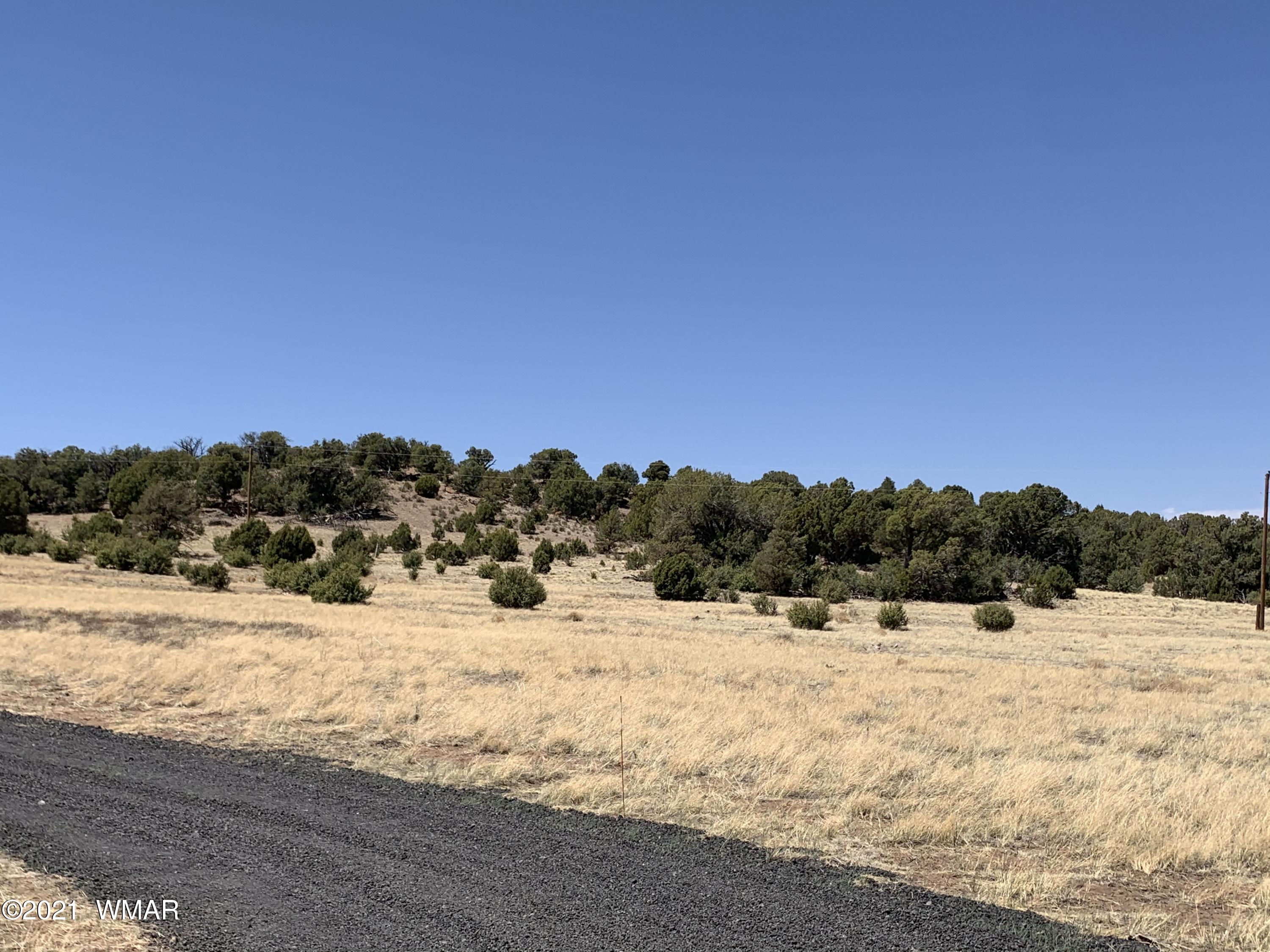 0 West Burton Road Show Low, AZ 85901 - Photo 20 of 25