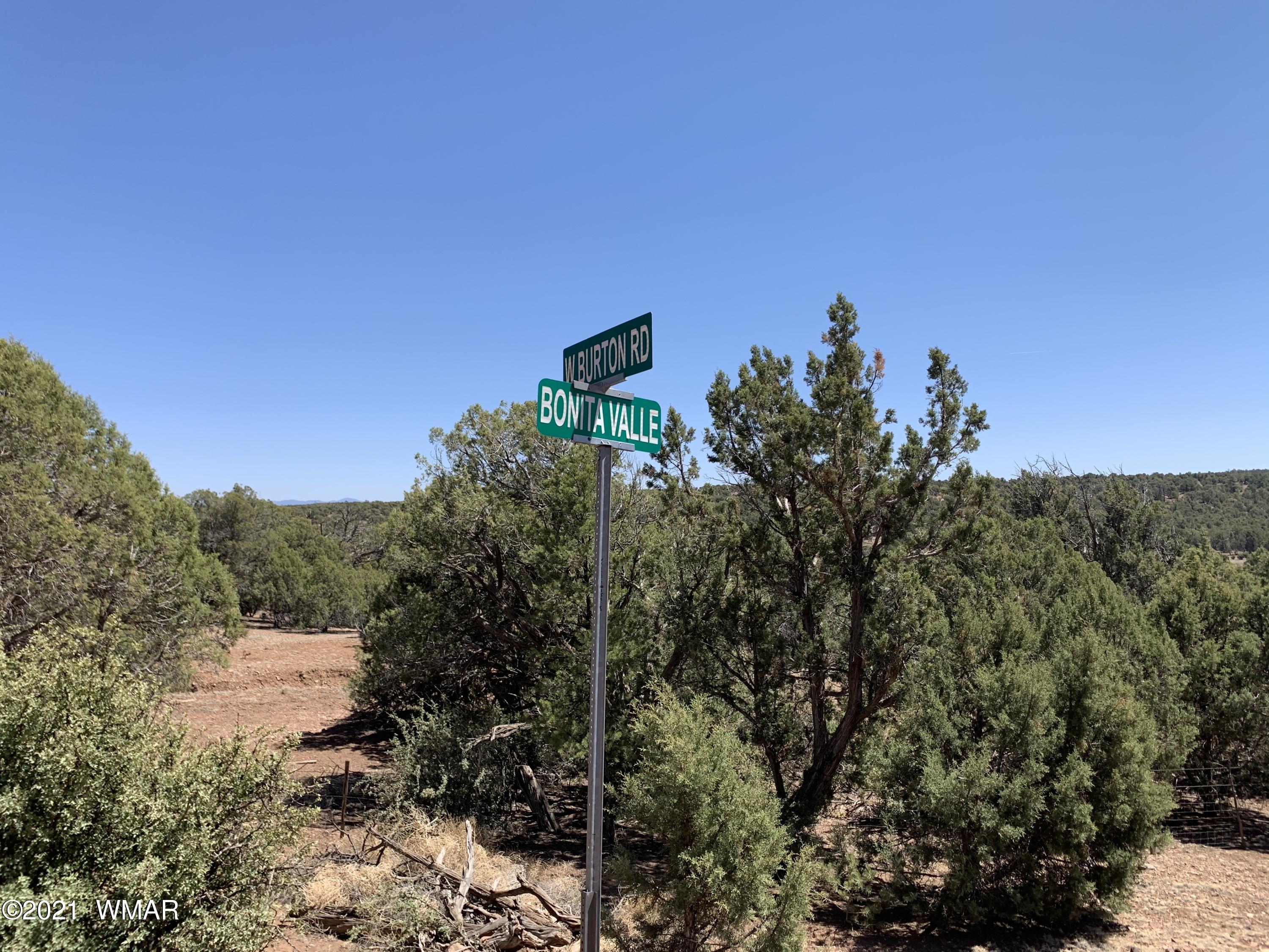 0 West Burton Road Show Low, AZ 85901 - Photo 2 of 25