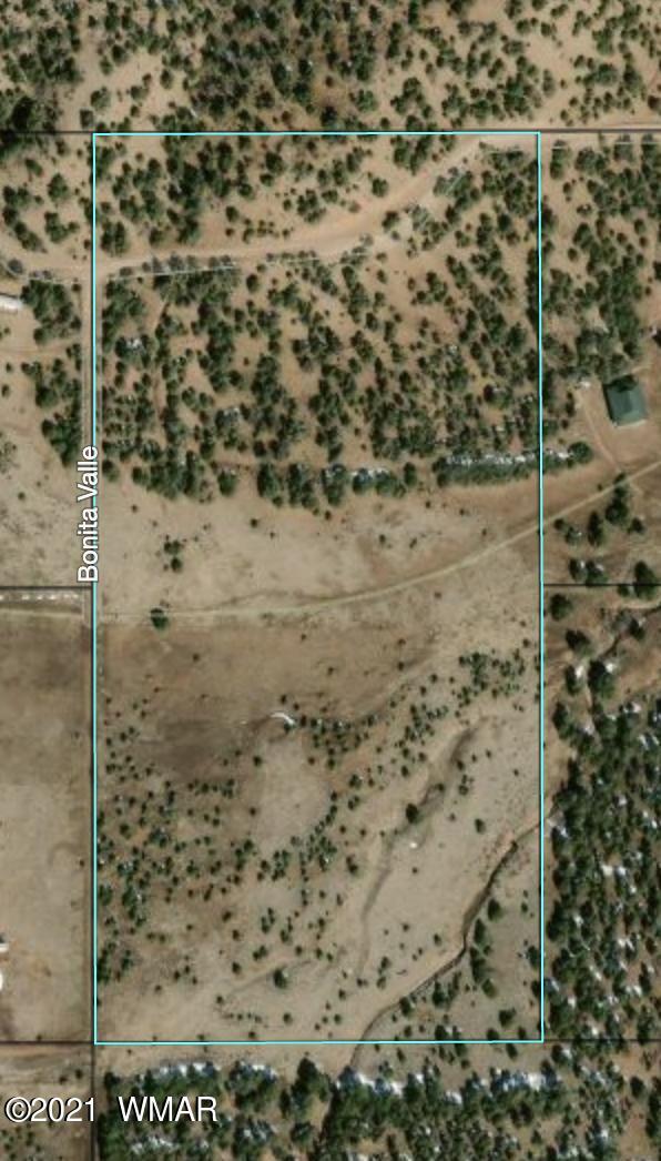 0 West Burton Road Show Low, AZ 85901 - Photo 24 of 25