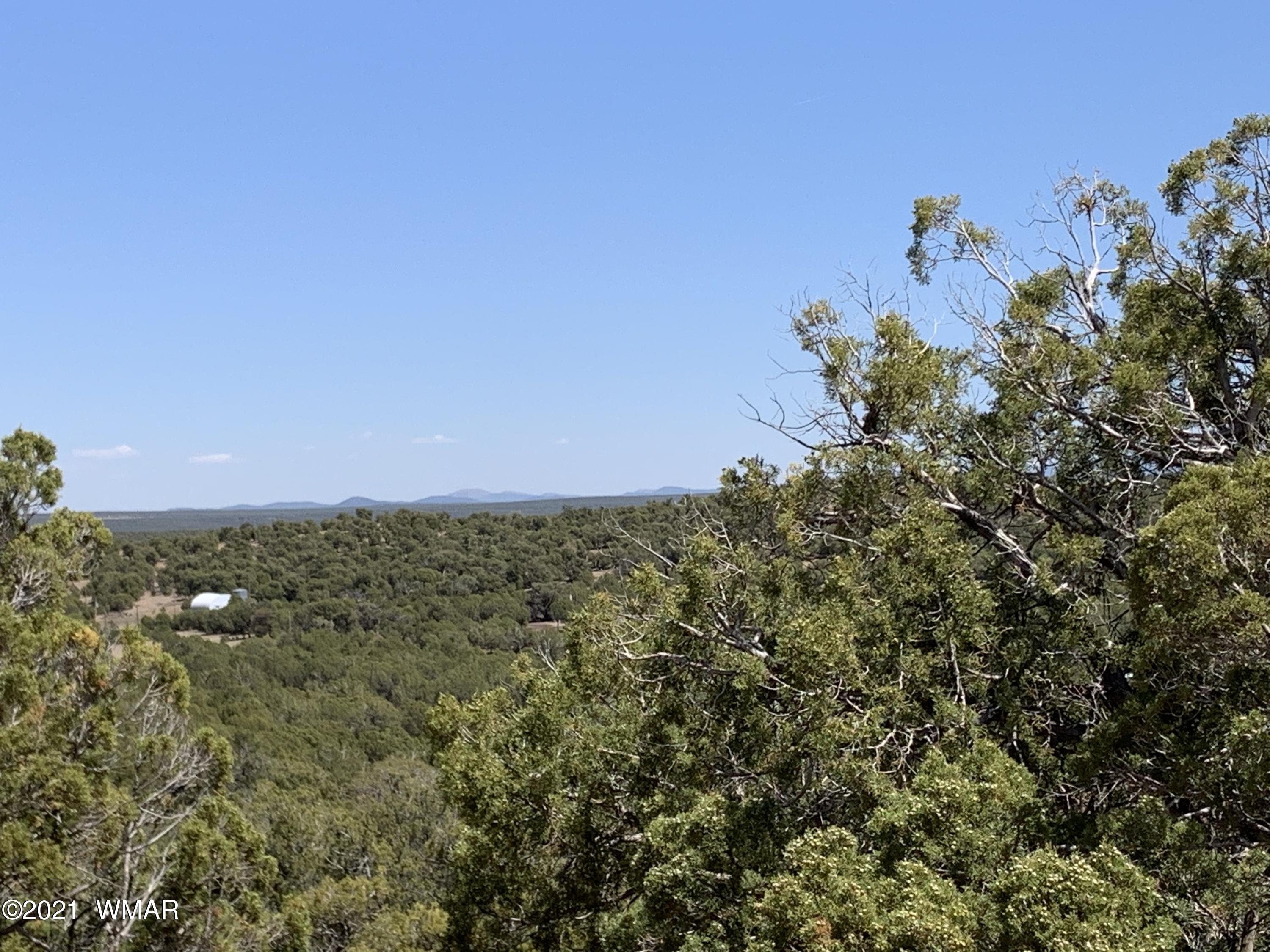 0 West Burton Road Show Low, AZ 85901 - Photo 5 of 25