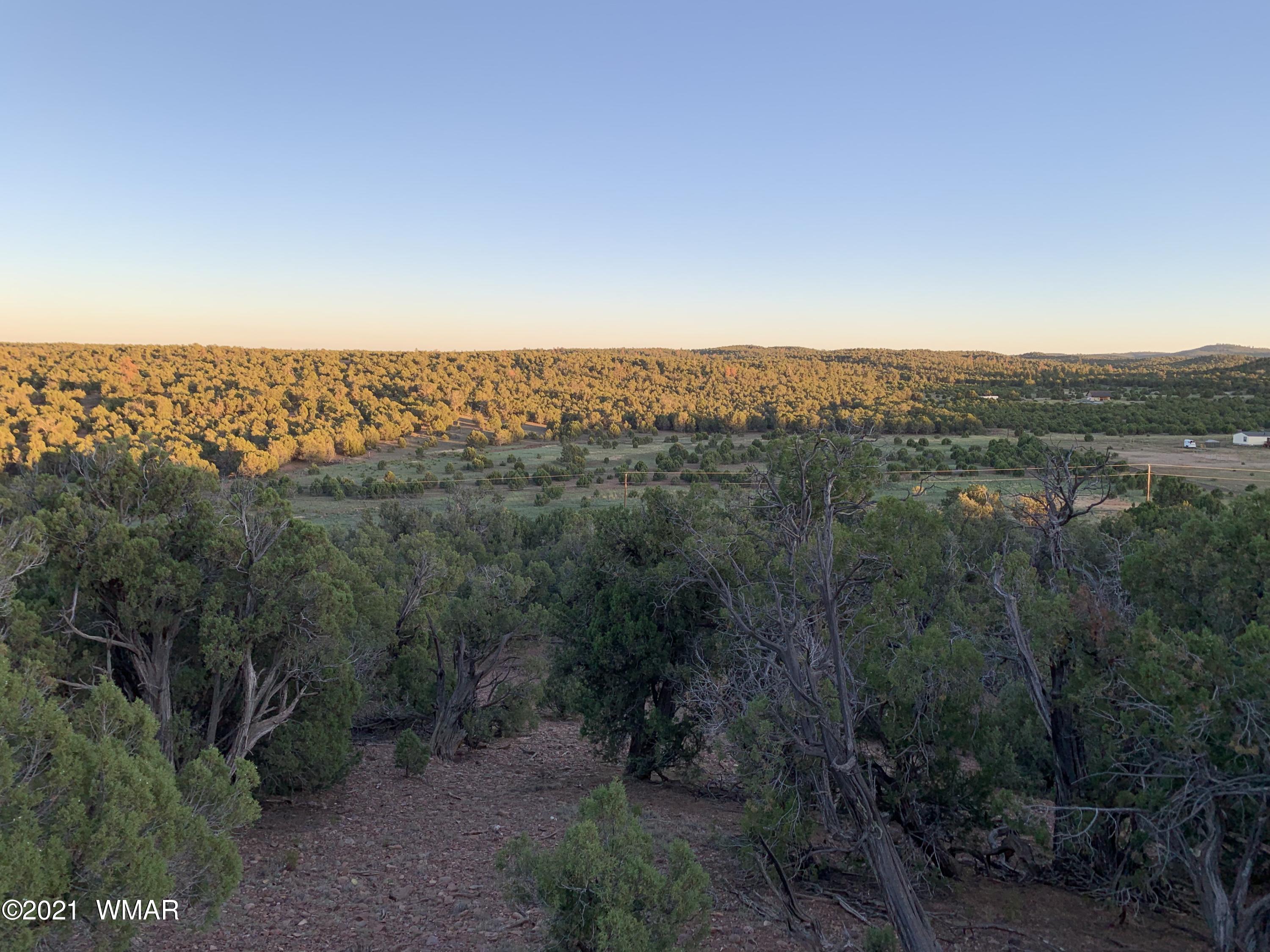 0 West Burton Road Show Low, AZ 85901 - Photo 6 of 25