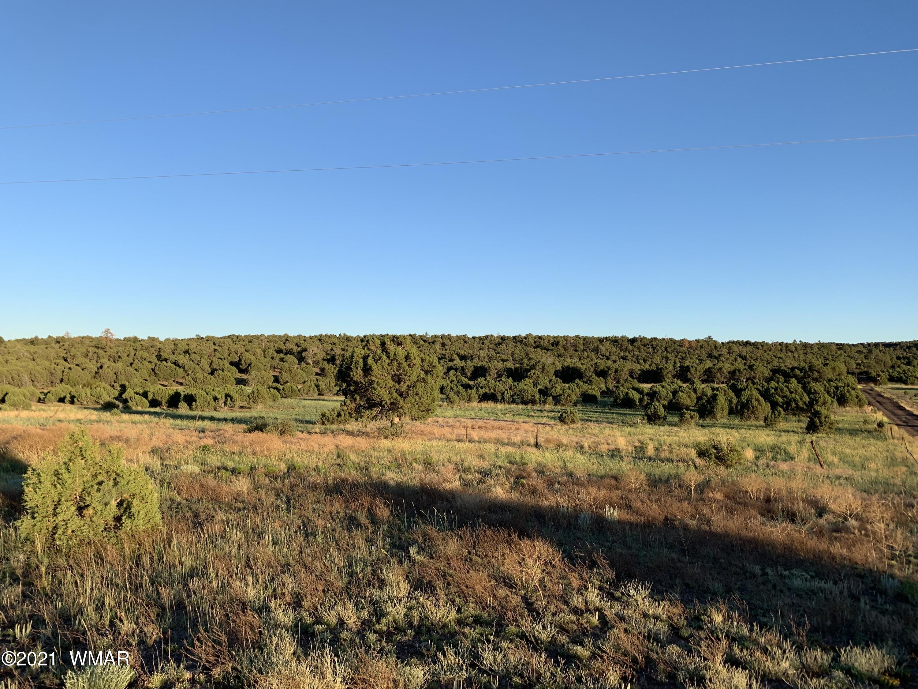 0 West Burton Road Show Low, AZ 85901 - Photo 10 of 25