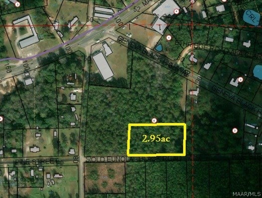 2.95-acres Twin Rivers Street Geneva, AL 36340 - Photo 3 of 4 Gallery Image 3