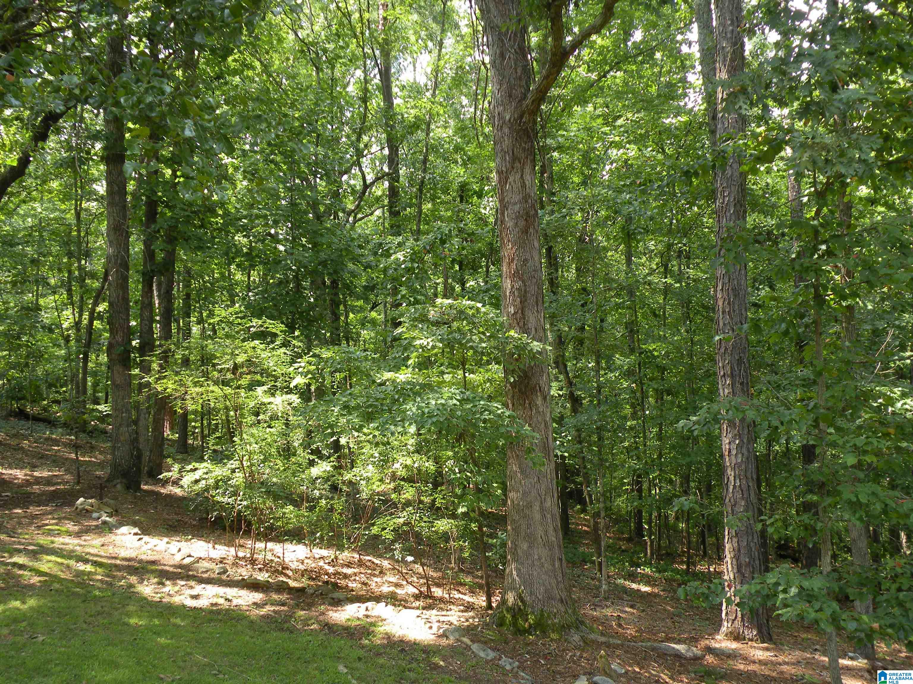 1404 Stonehill Road Sylacauga, AL 35150 - Photo 35 of 36