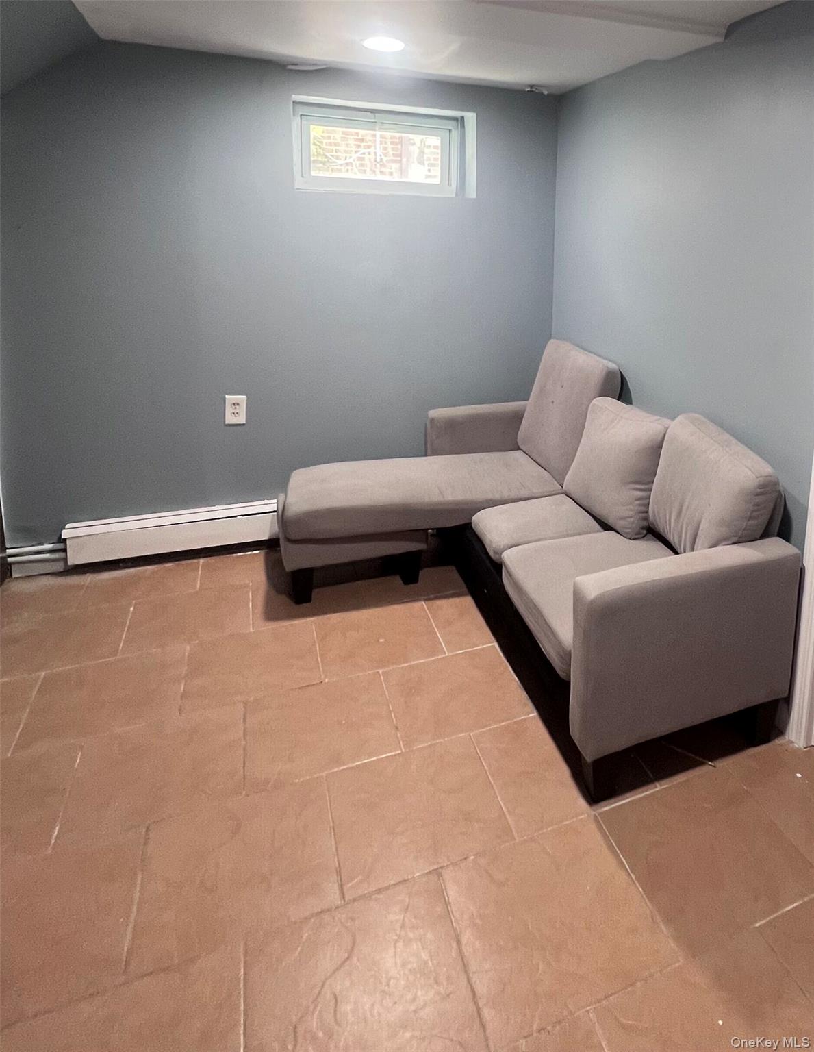 44 Frank Street Valley Stream, NY 11580 - Photo 13 of 23 a living room with a couch and a potted plant