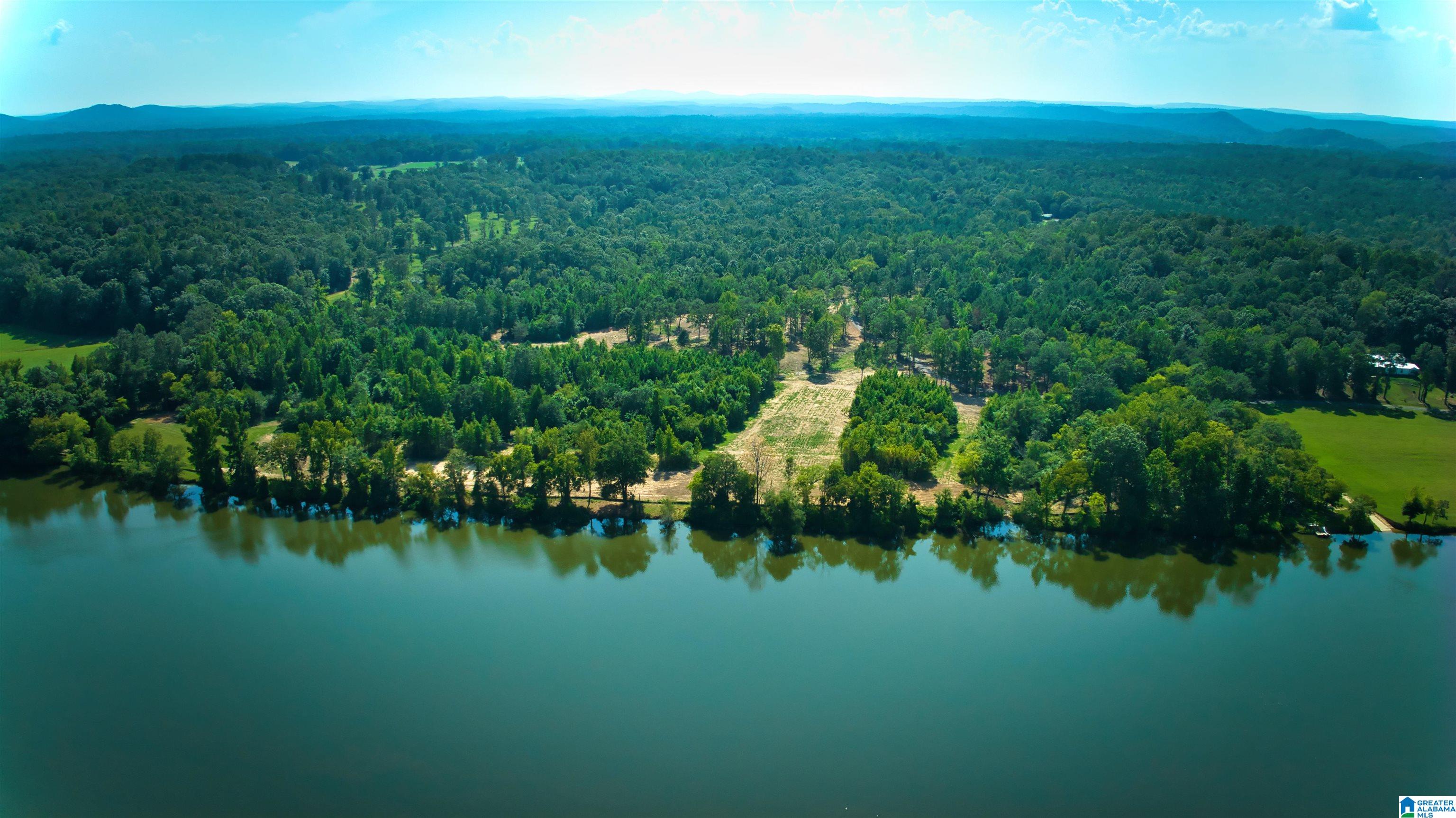 Lot 20 Wester Road, Unit LOT 20 Ragland, AL 35131 - Photo 23 of 68