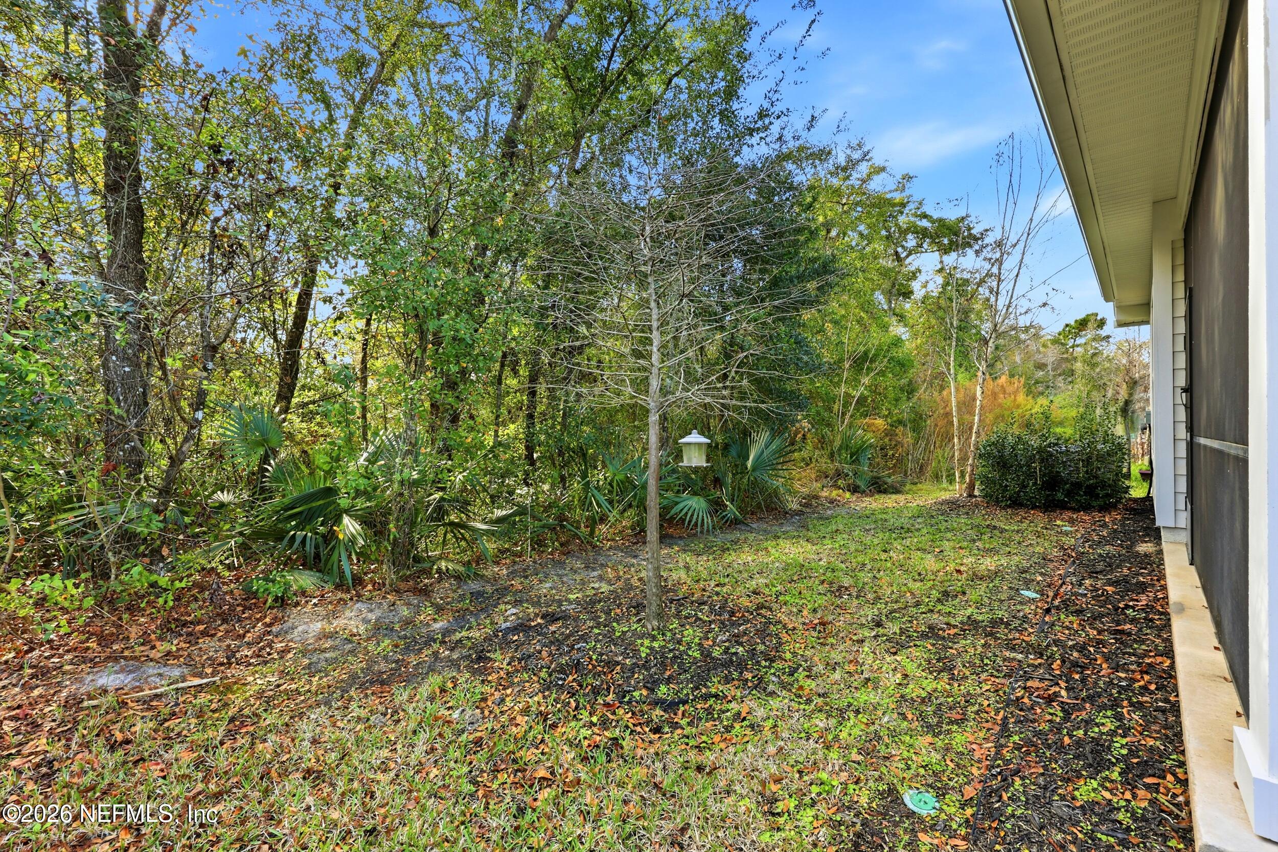 251 Windswept Way St. Augustine, FL 32092 - Photo 27 of 47 Backyard Views!