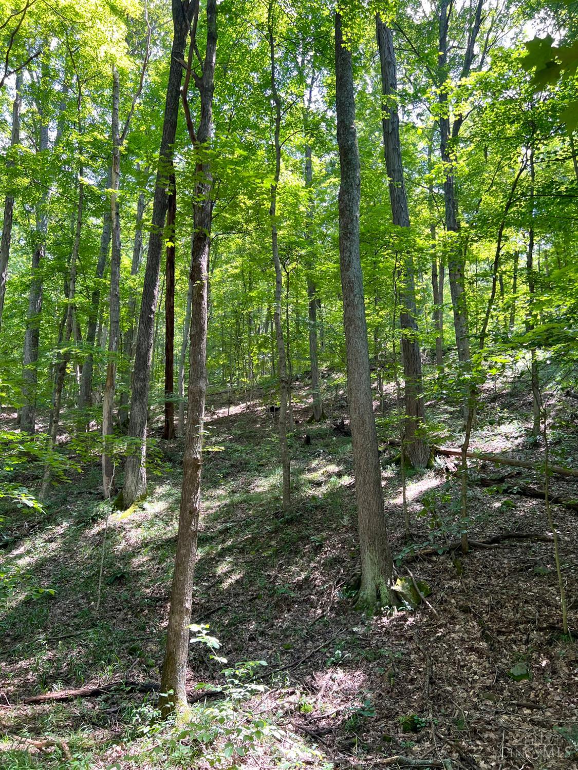 0 South Chenoweth Fork Road Piketon, OH 45661 - Photo 76 of 95