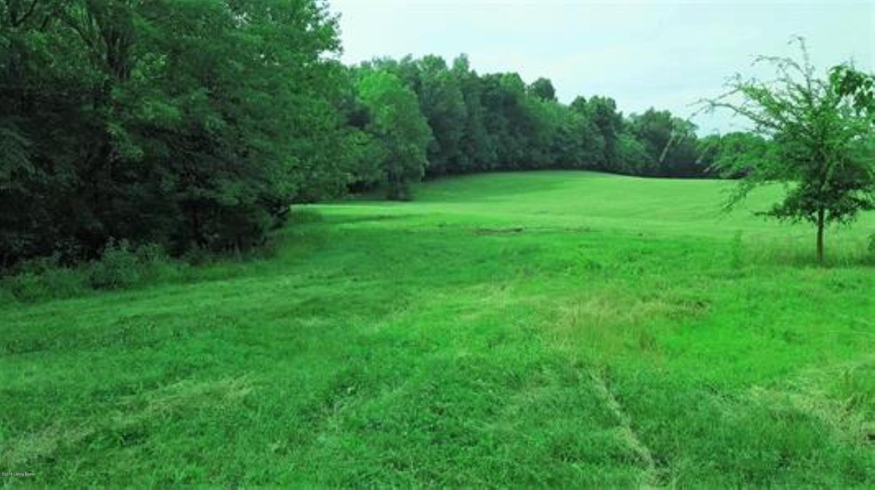 0 Hall Simpson Road Loretto, KY 40037 - Photo 7 of 15 10044337-6 (Custom)