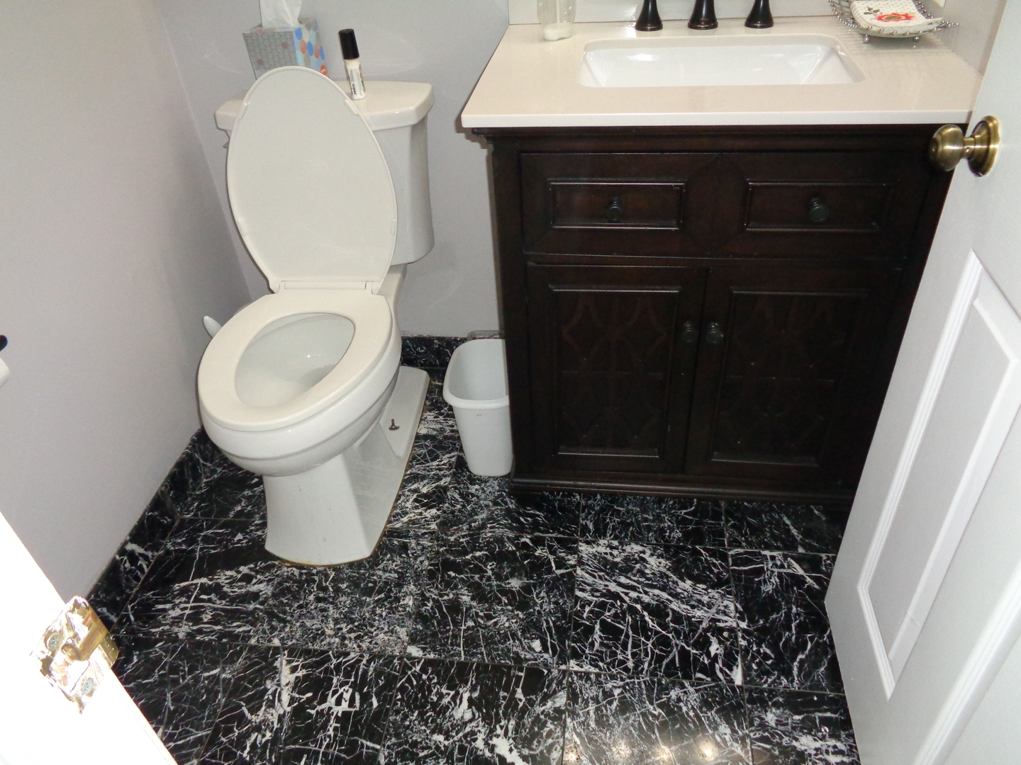 459 Barberry Road Highland Park, IL 60035 - Photo 8 of 11 a bathroom with a sink and a toilet