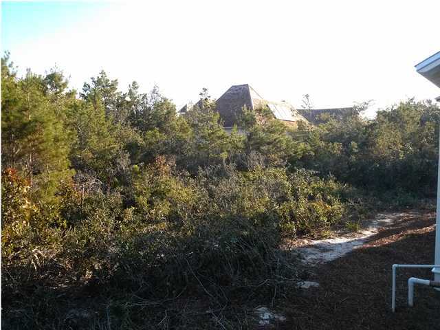 69 Lifeguard Loop East Inlet Beach, FL 32461 - Photo 14 of 26 a view of a city with lush green forest