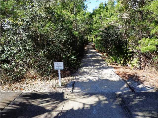 69 Lifeguard Loop East Inlet Beach, FL 32461 - Photo 25 of 26 a view of a street with trees on both side of it