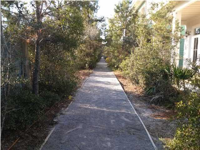 69 Lifeguard Loop East Inlet Beach, FL 32461 - Photo 6 of 26 a view of a pathway both side of house