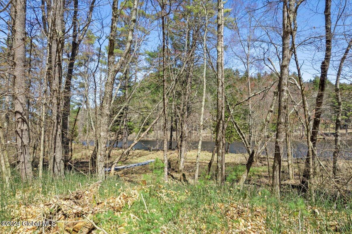 2 Dixon Road Chester, NY 12817 - Photo 18 of 18 14-DJI_0559