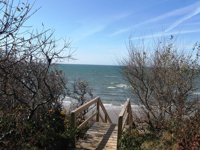 45 Boreen Road Eastham, MA 02642 - Photo 8 of 22 a view of a backyard
