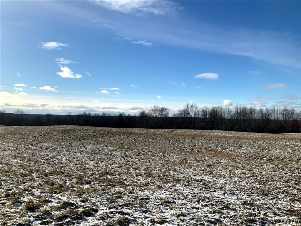 0 Salsbury Road Camden, NY 13316 - Photo 17 of 42 Gallery Image 17