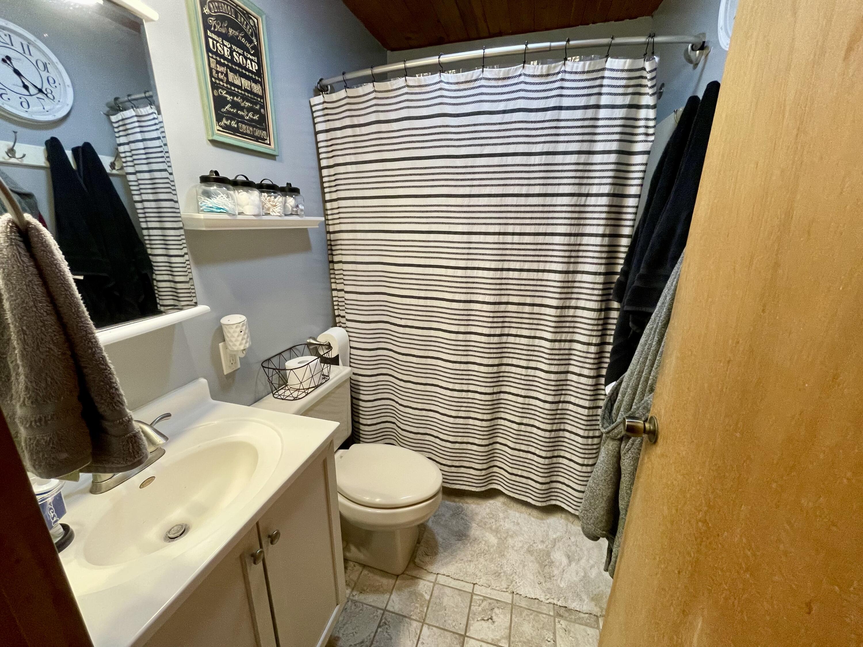 1871 North Littlefield Road Weidman, MI 48893 - Photo 10 of 22 #10 Bath 1