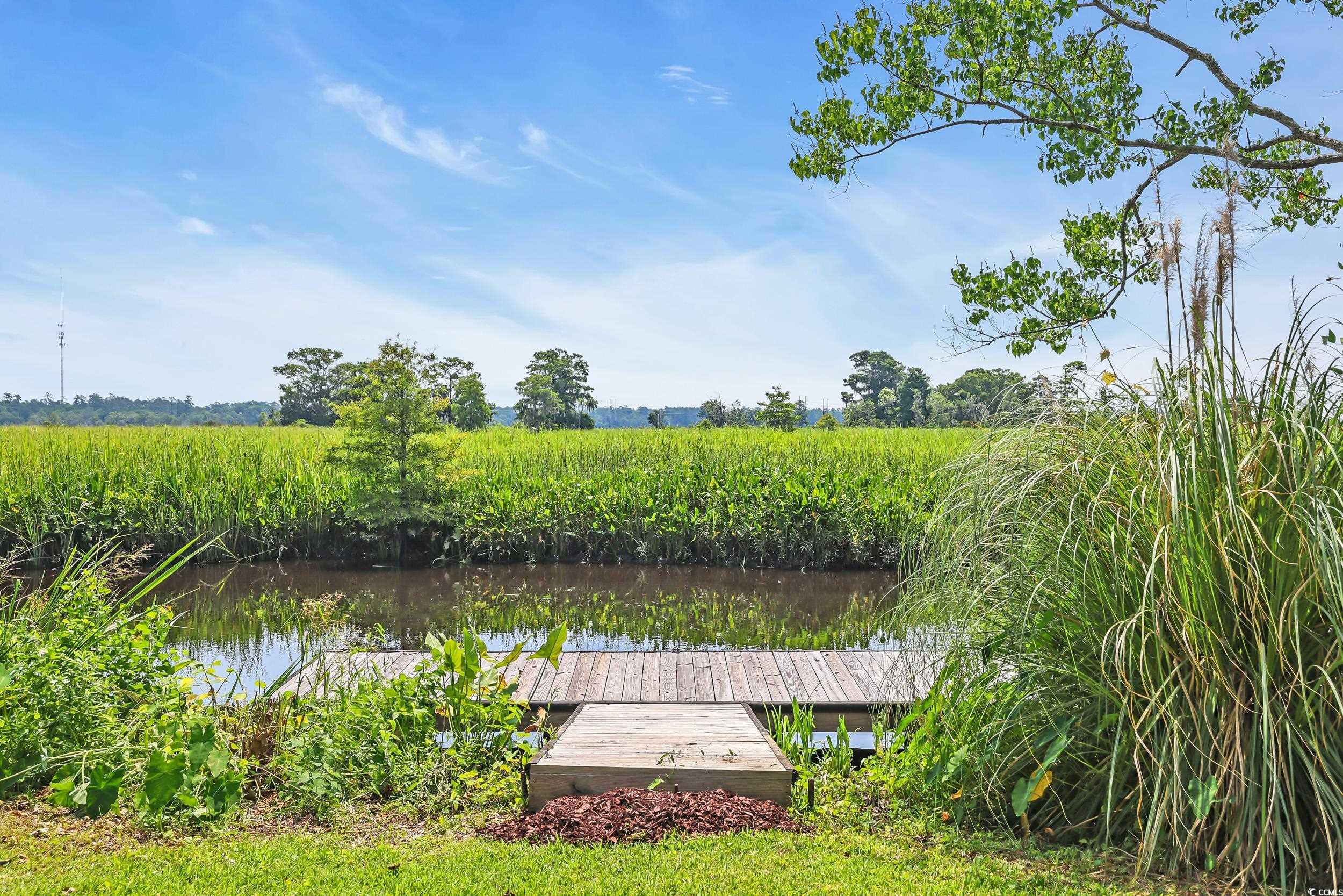 485 County Rd S-22-592 Georgetown, SC 29440 - Photo 32 of 40 Dock area with a water view