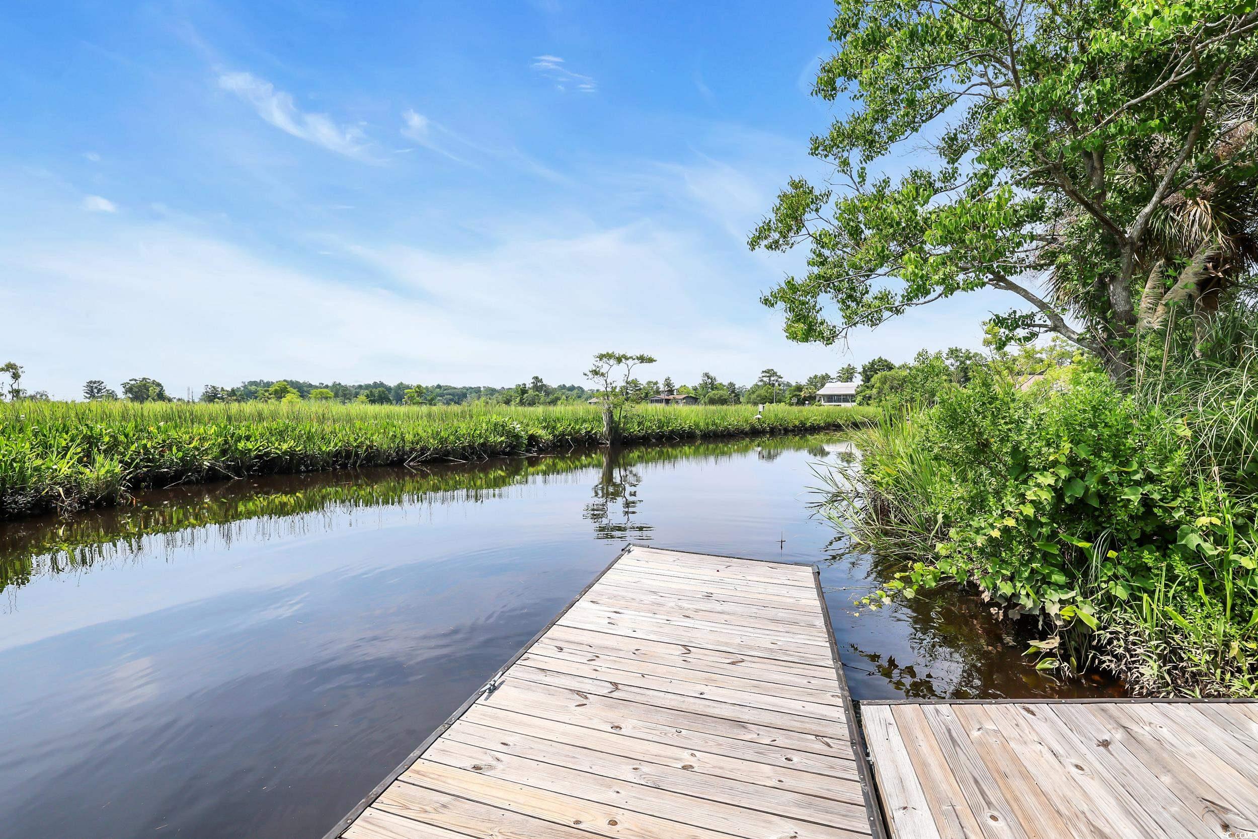 485 County Rd S-22-592 Georgetown, SC 29440 - Photo 35 of 40 Dock area with a water view