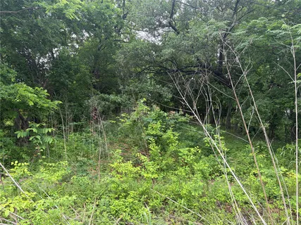 a view of a lush green forest