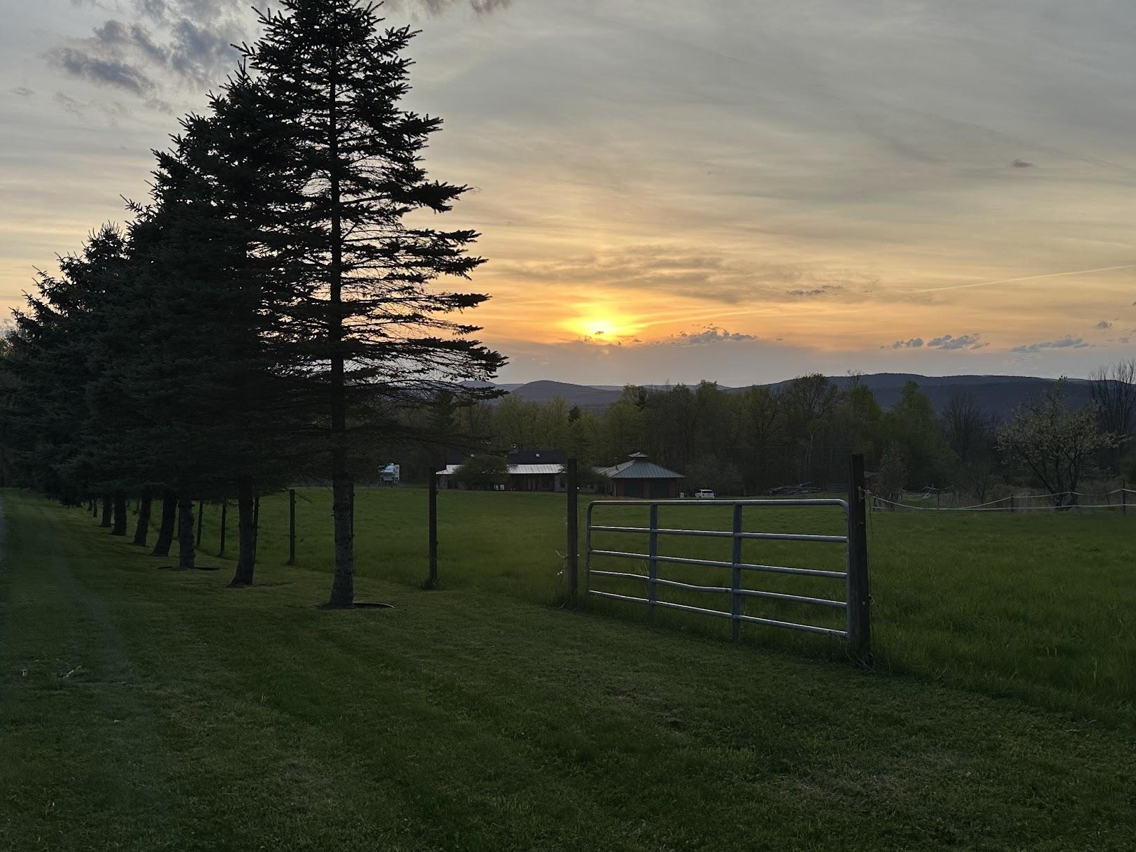 341 Turkey Farm Road Benson, VT 05743 - Photo 56 of 60