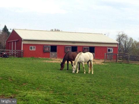 36343 Paxson Road Purcellville, VA 20132 - Photo 3 of 41 Happy Horses currently living here